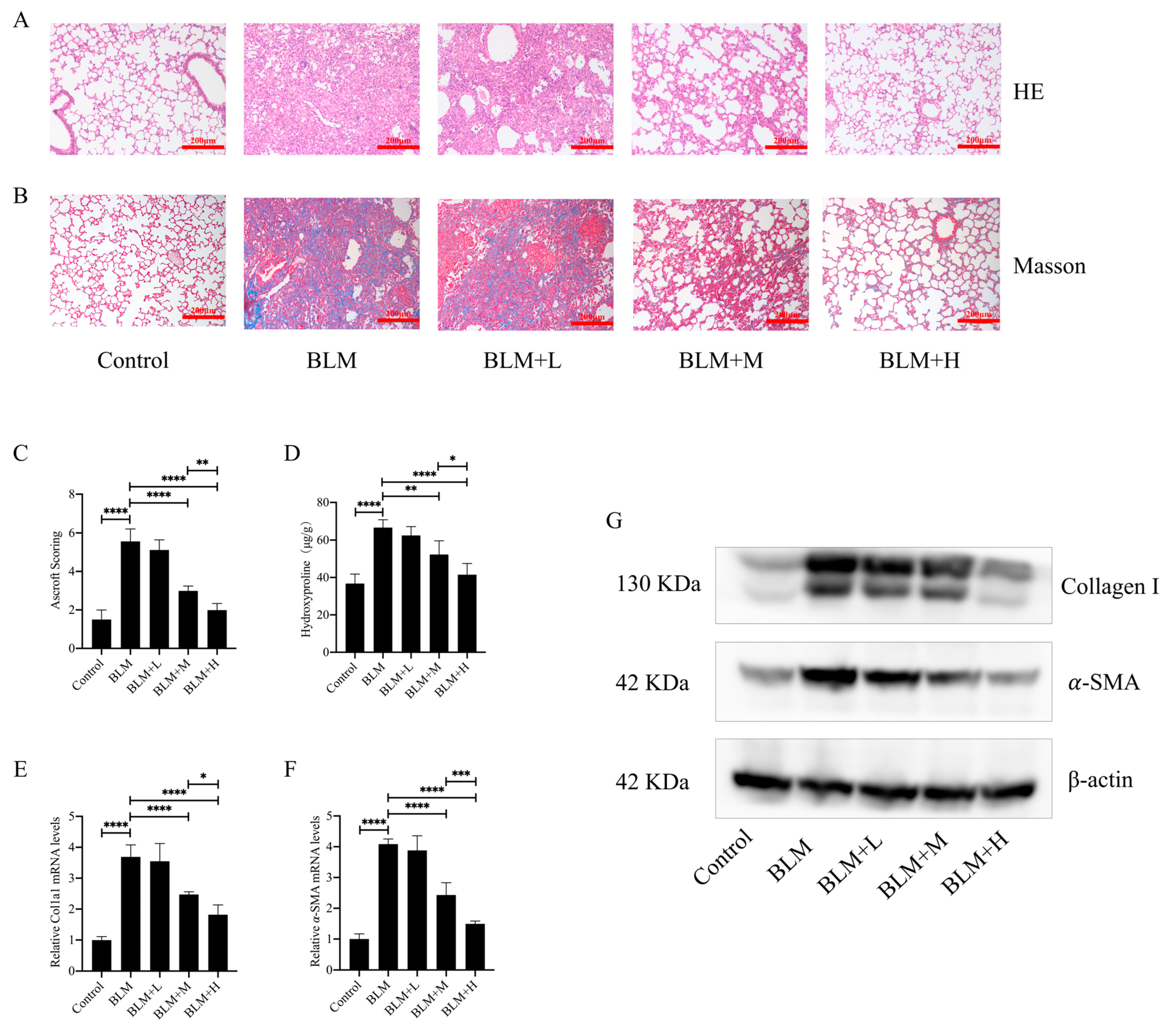 Biomedicines 12 01436 g001 Biomedicines 12 01436 g001