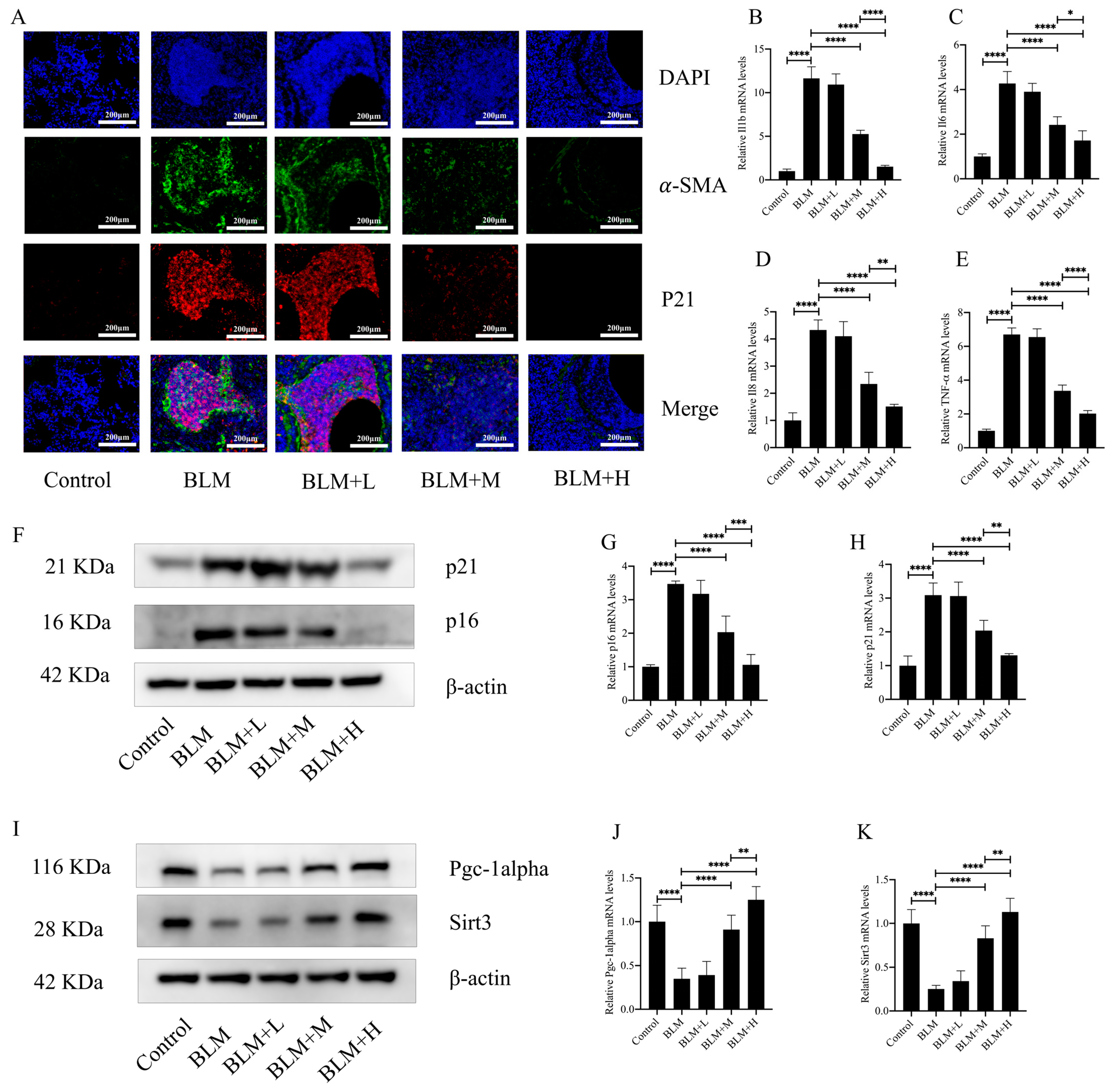 Biomedicines 12 01436 g003 Biomedicines 12 01436 g003