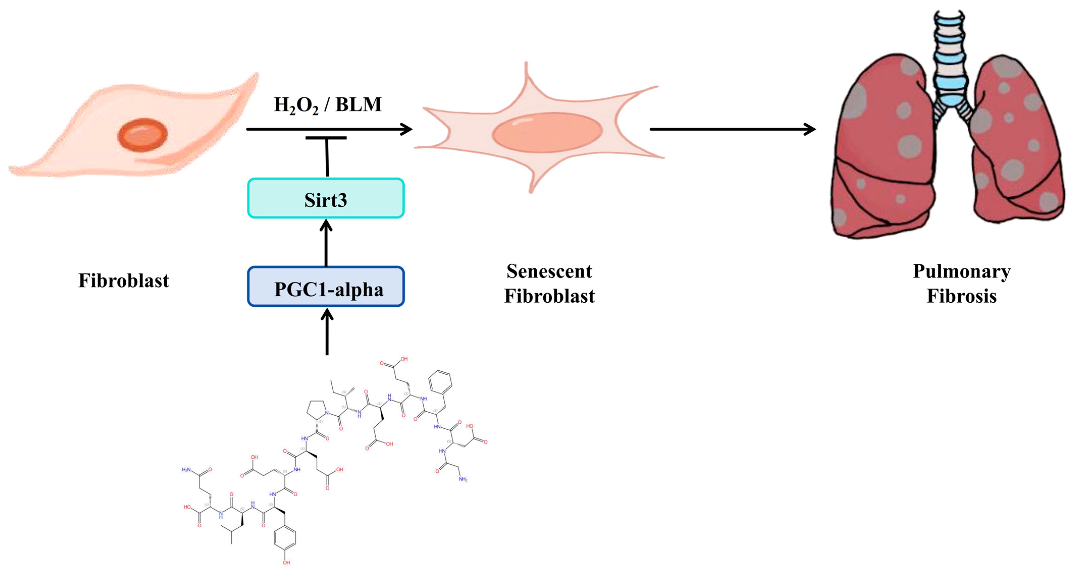 Biomedicines 12 01436 g006 Biomedicines 12 01436 g006