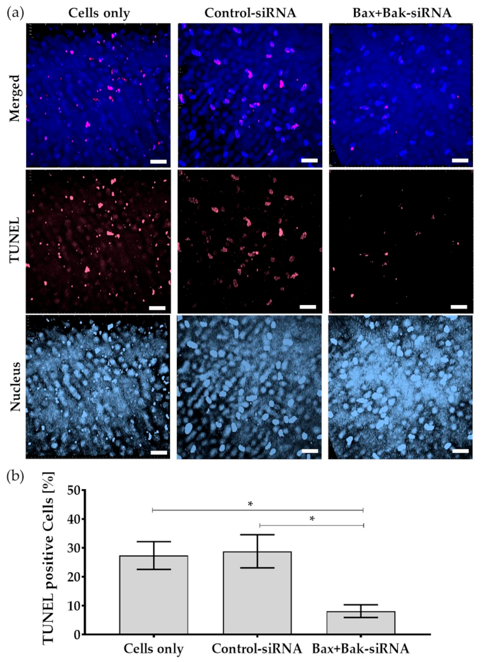 Biomedicines 12 01439 g008 Biomedicines 12 01439 g008