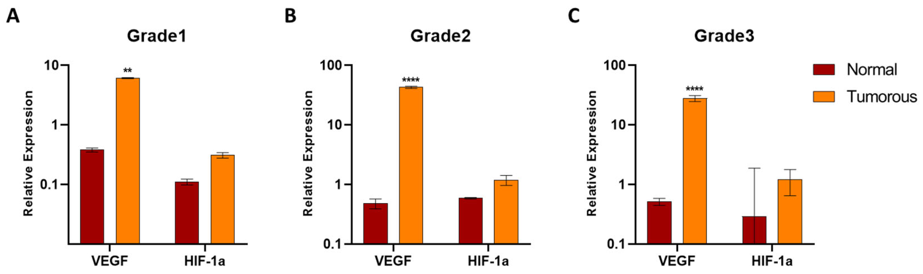 Biomedicines 12 01441 g006