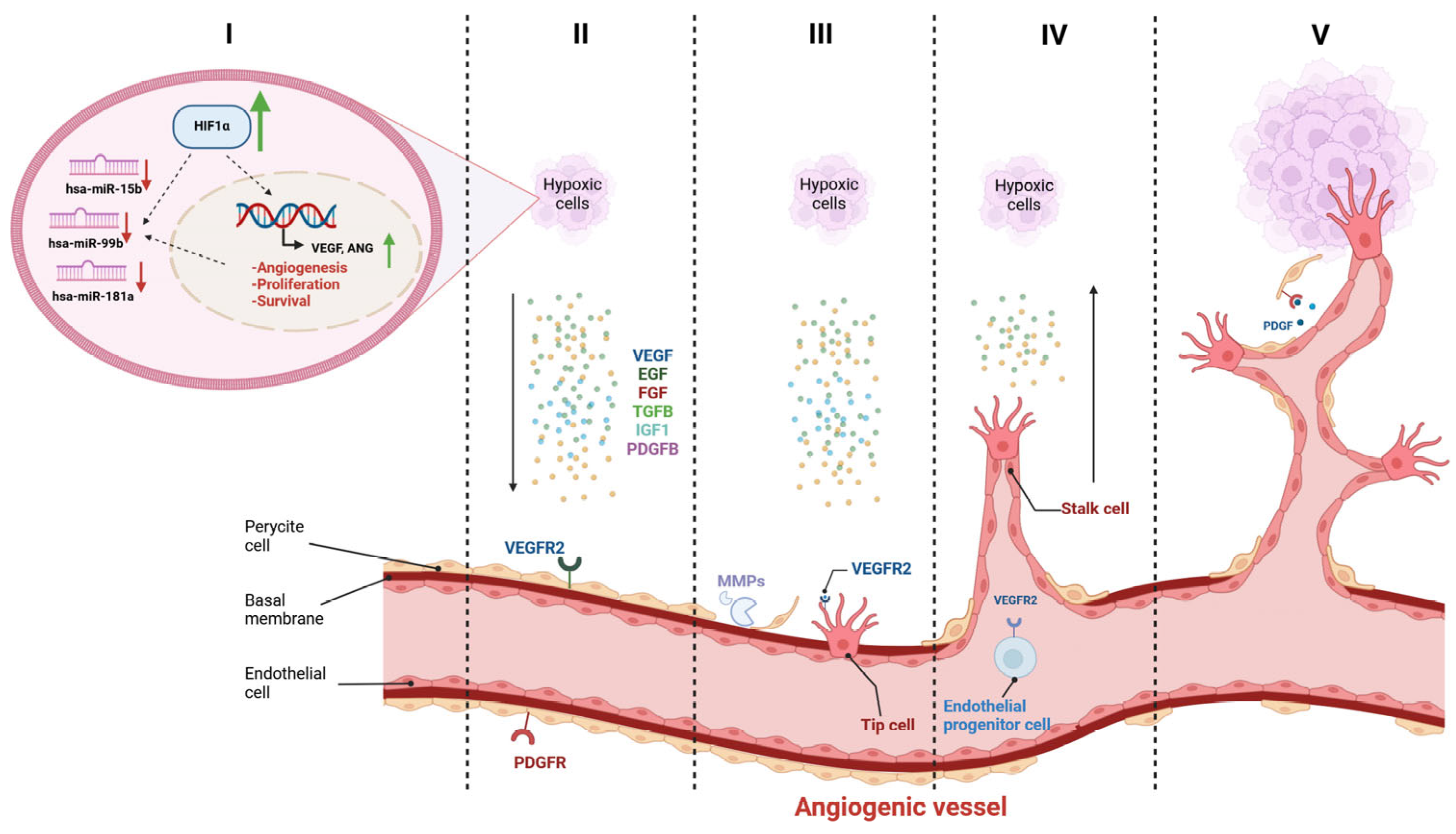 Biomedicines 12 01441 g008