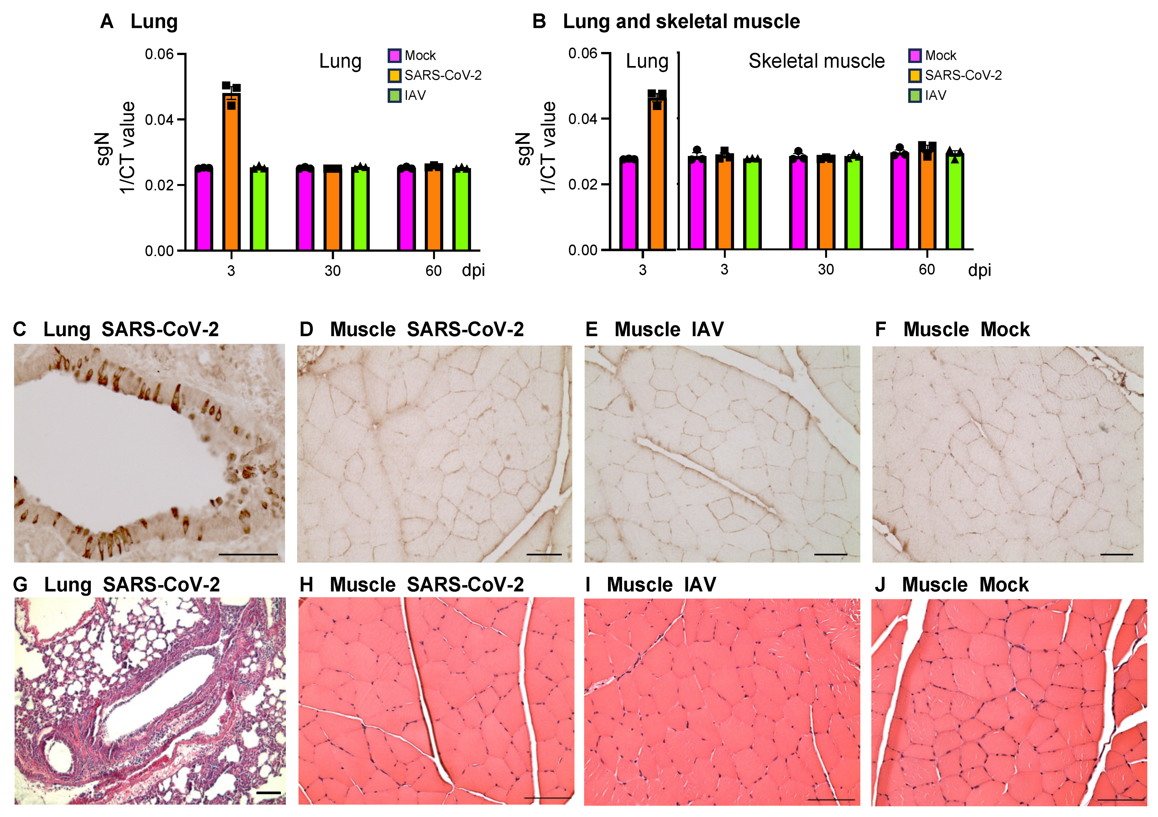Biomedicines 12 01443 g001