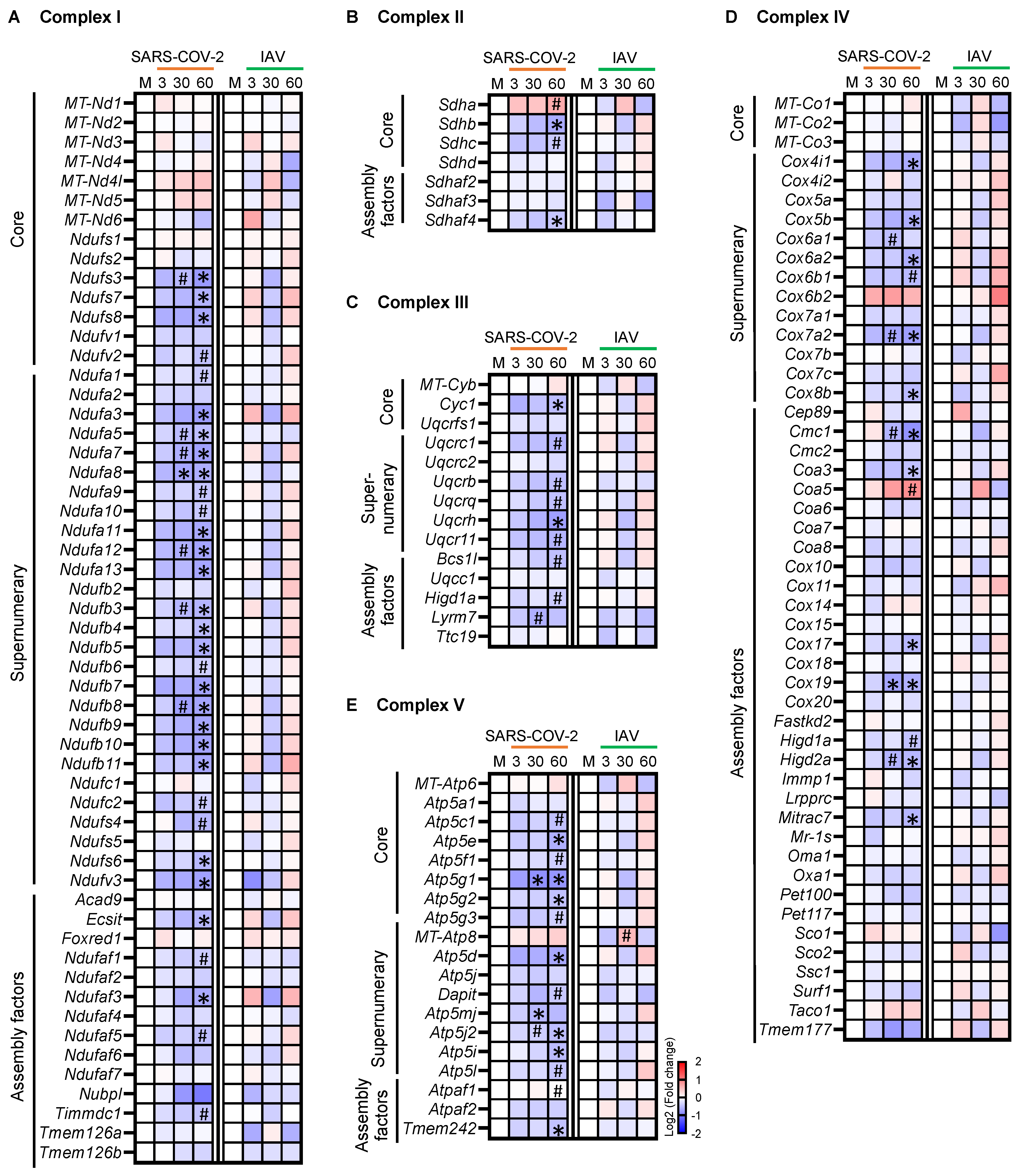 Biomedicines 12 01443 g005