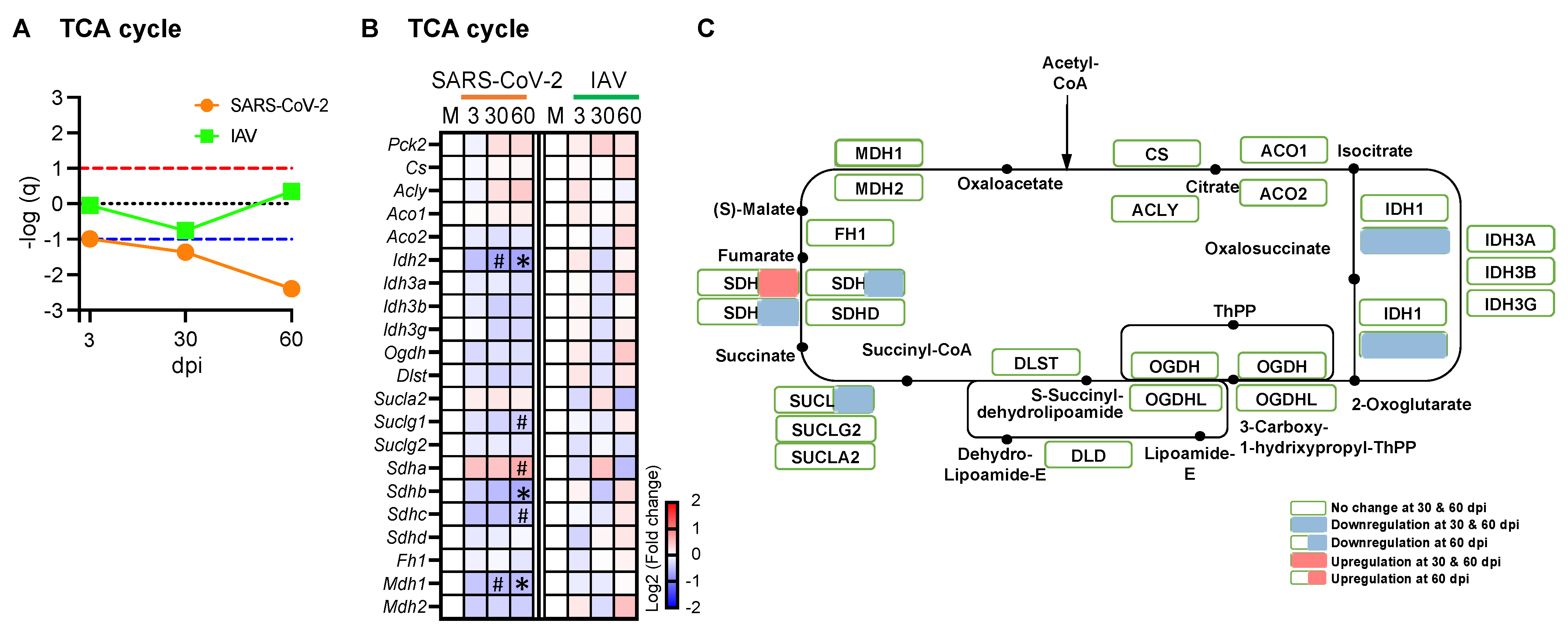 Biomedicines 12 01443 g007
