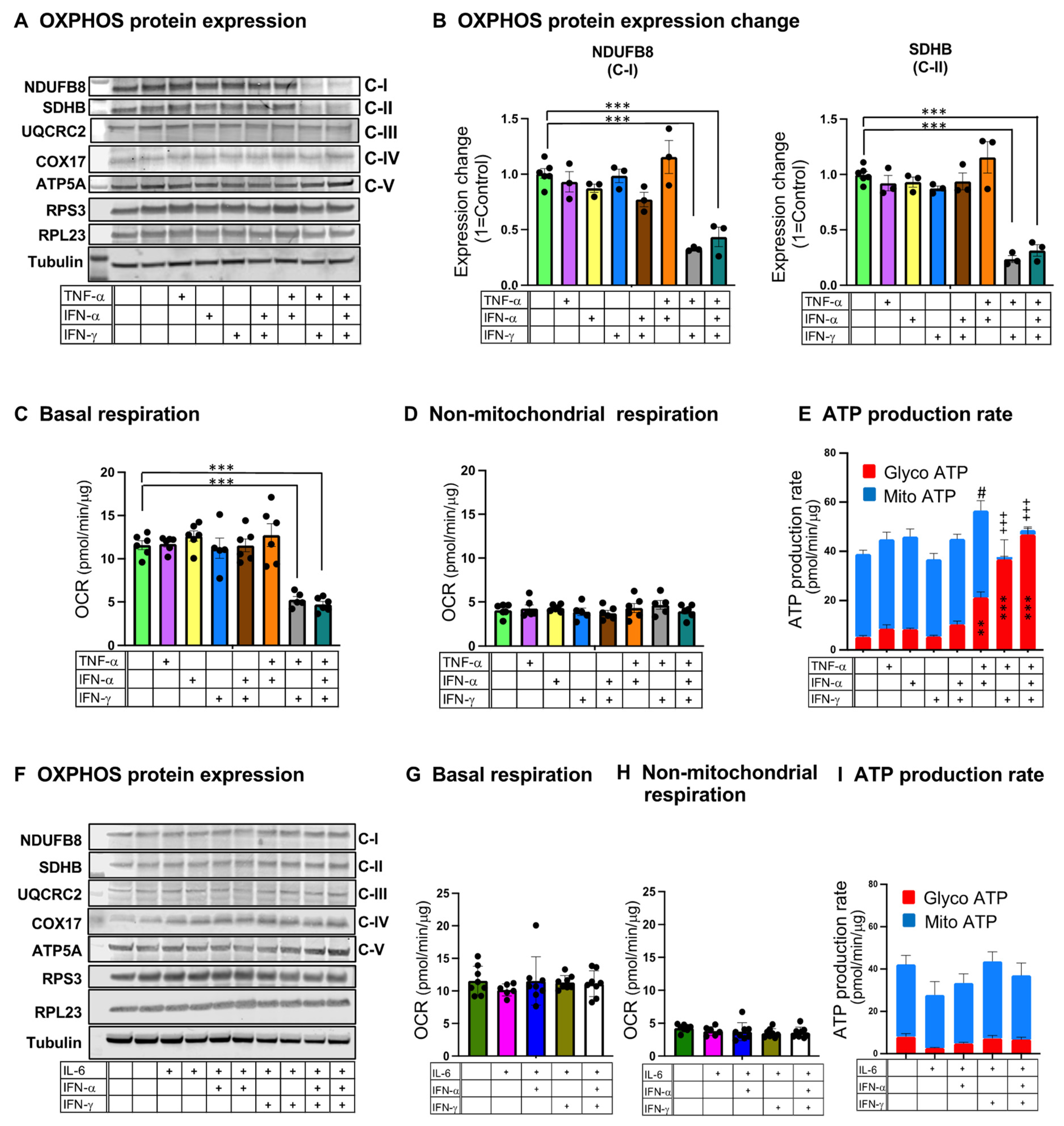 Biomedicines 12 01443 g010