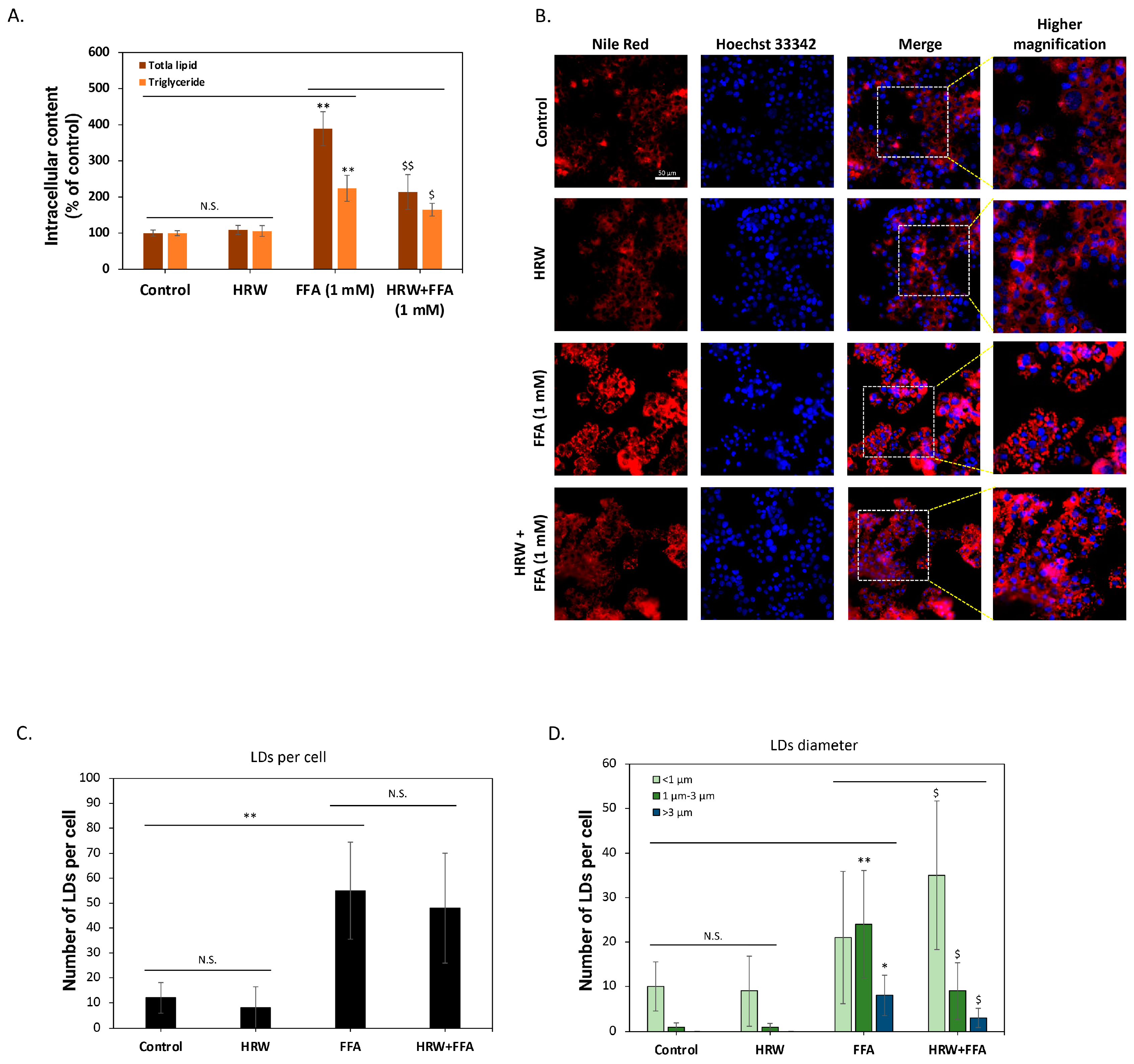 Biomedicines 12 01444 g002
