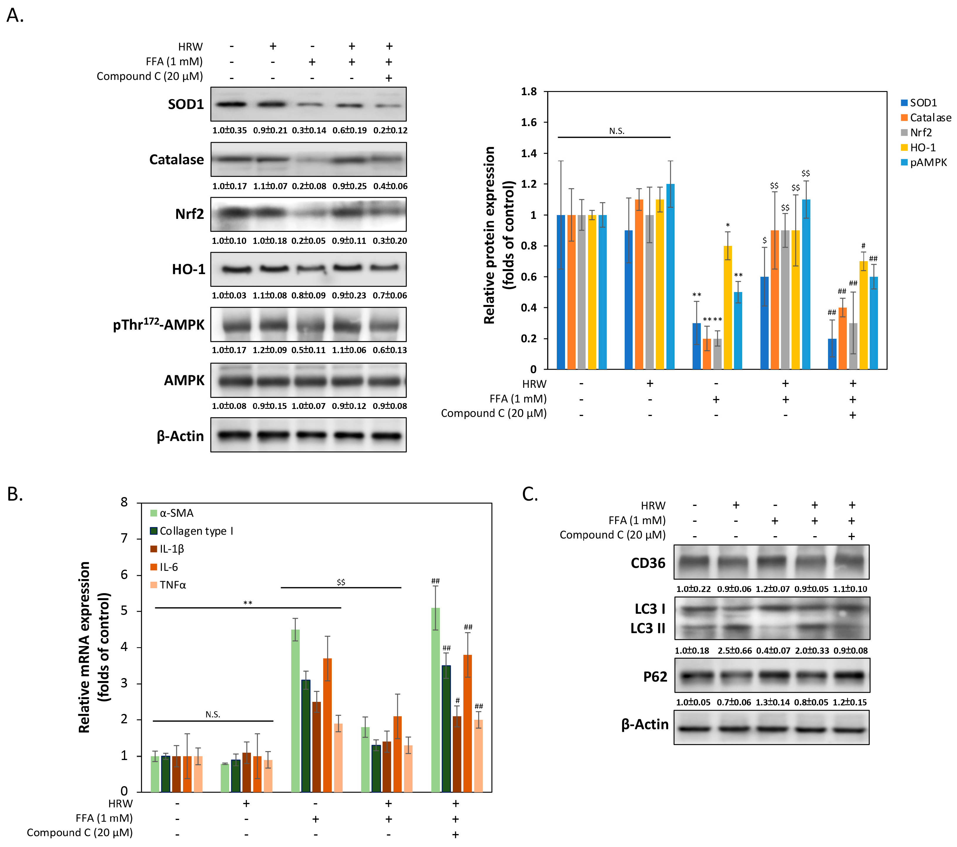Biomedicines 12 01444 g004