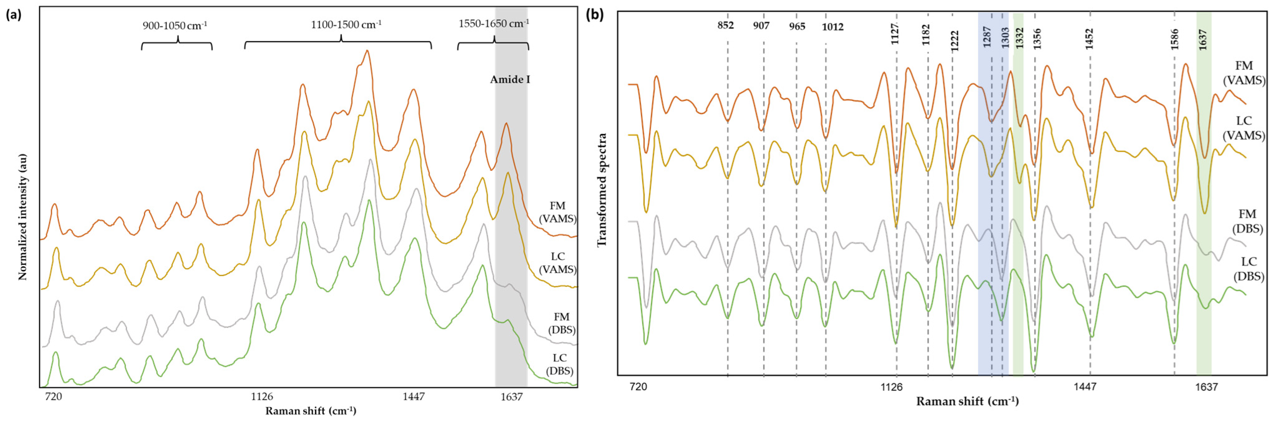 Biomedicines 12 01447 g004