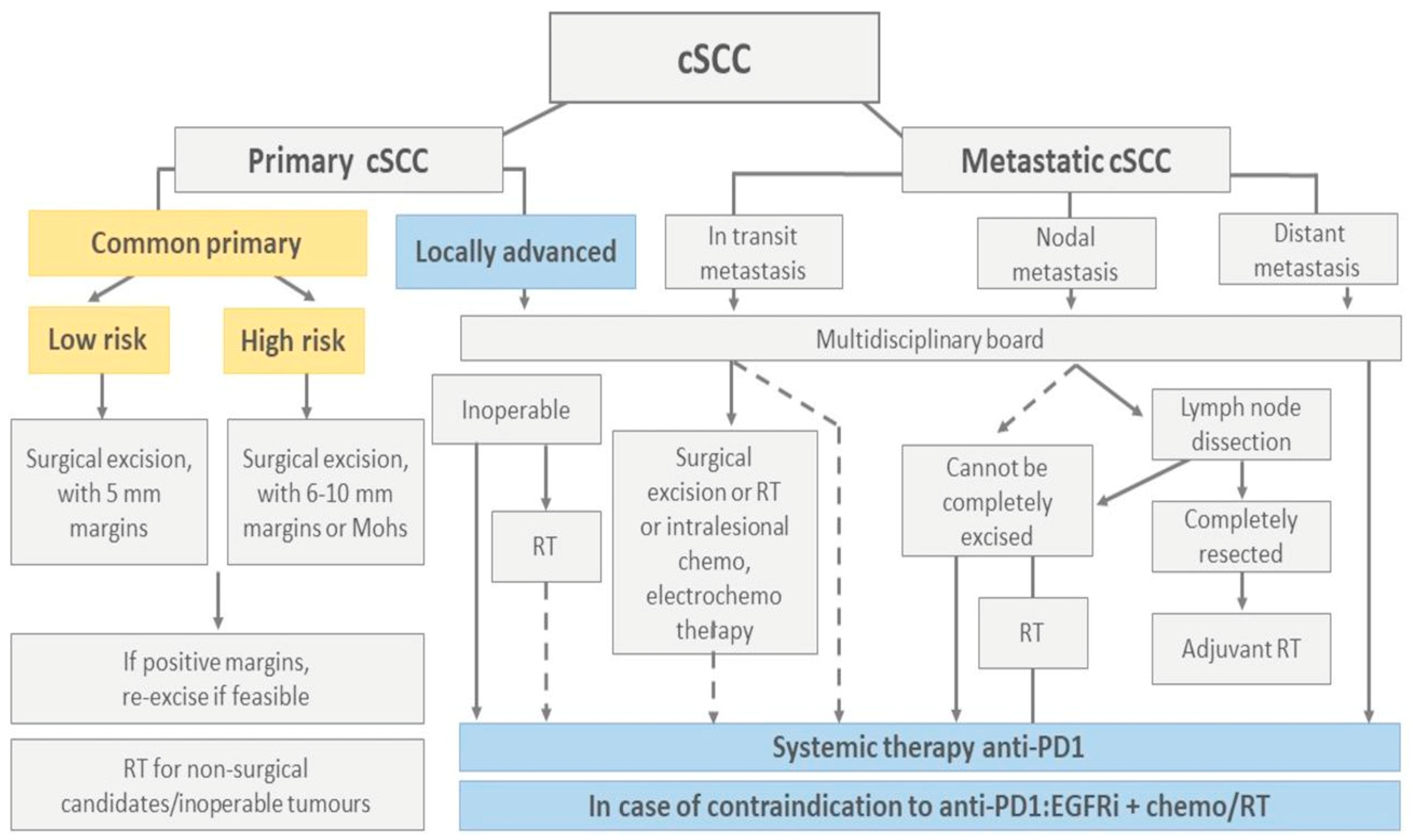 Biomedicines 12 01448 g003