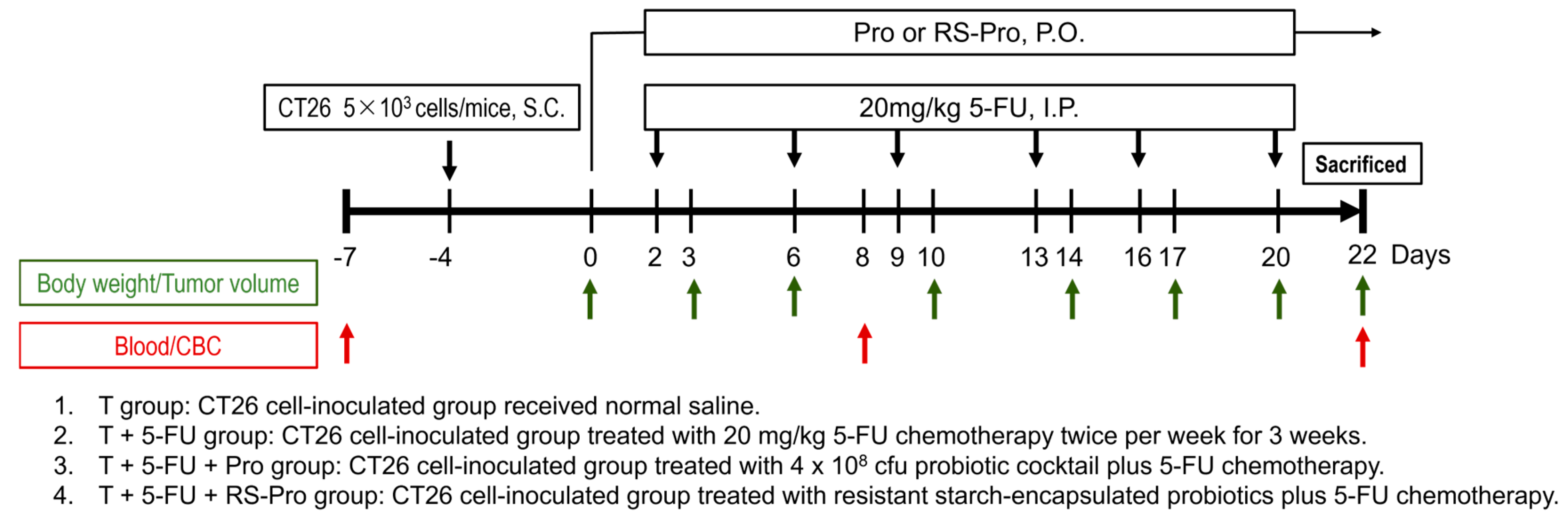 Biomedicines 12 01450 g001 Biomedicines 12 01450 g001