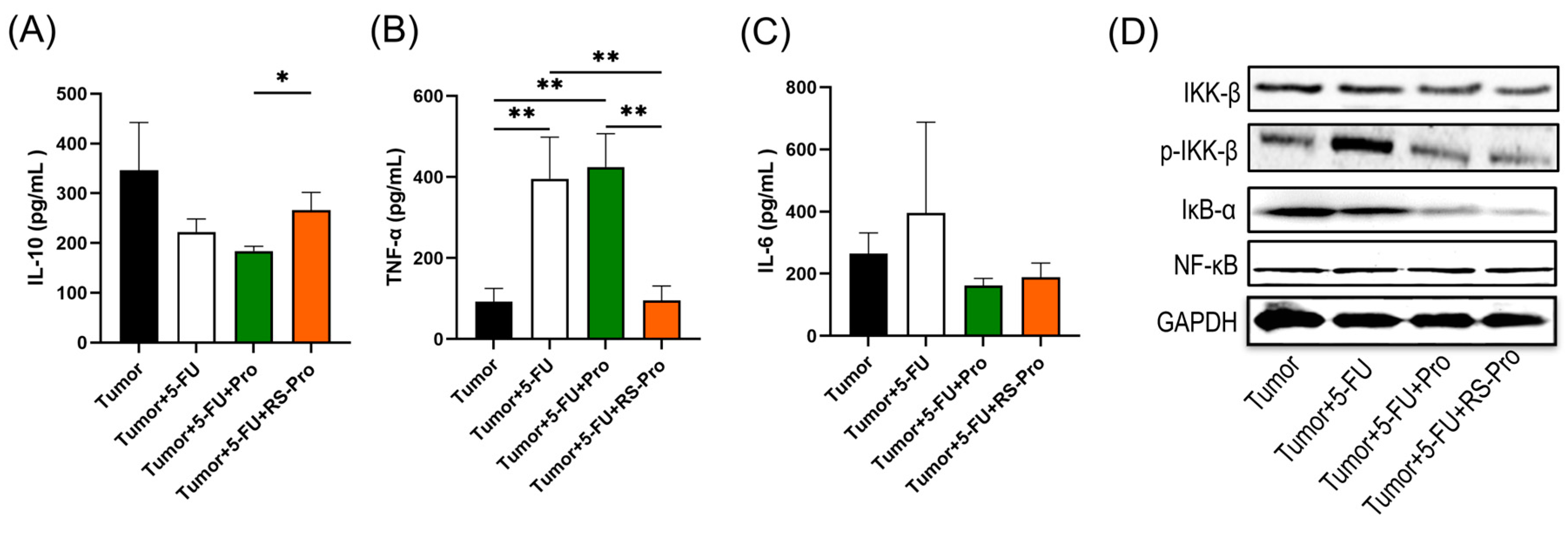 Biomedicines 12 01450 g004 Biomedicines 12 01450 g004