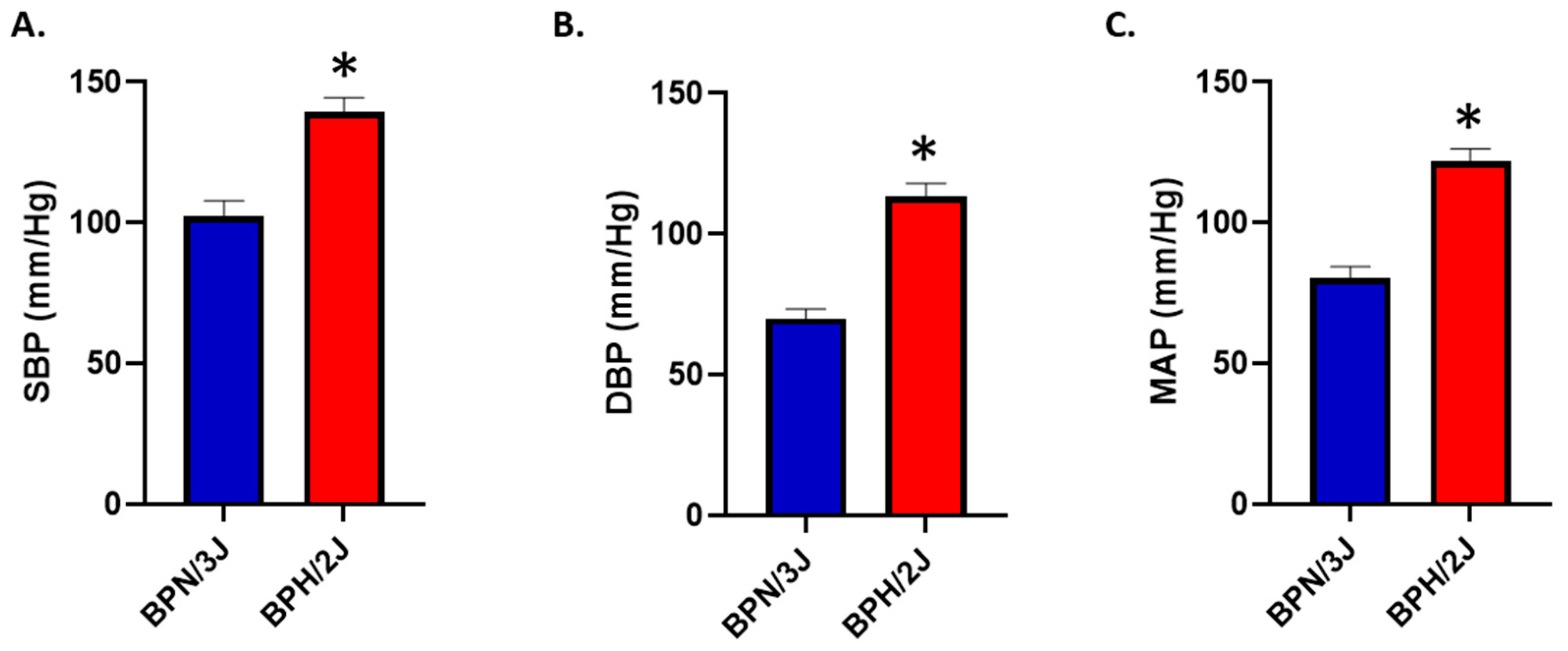 Biomedicines 12 01456 g008