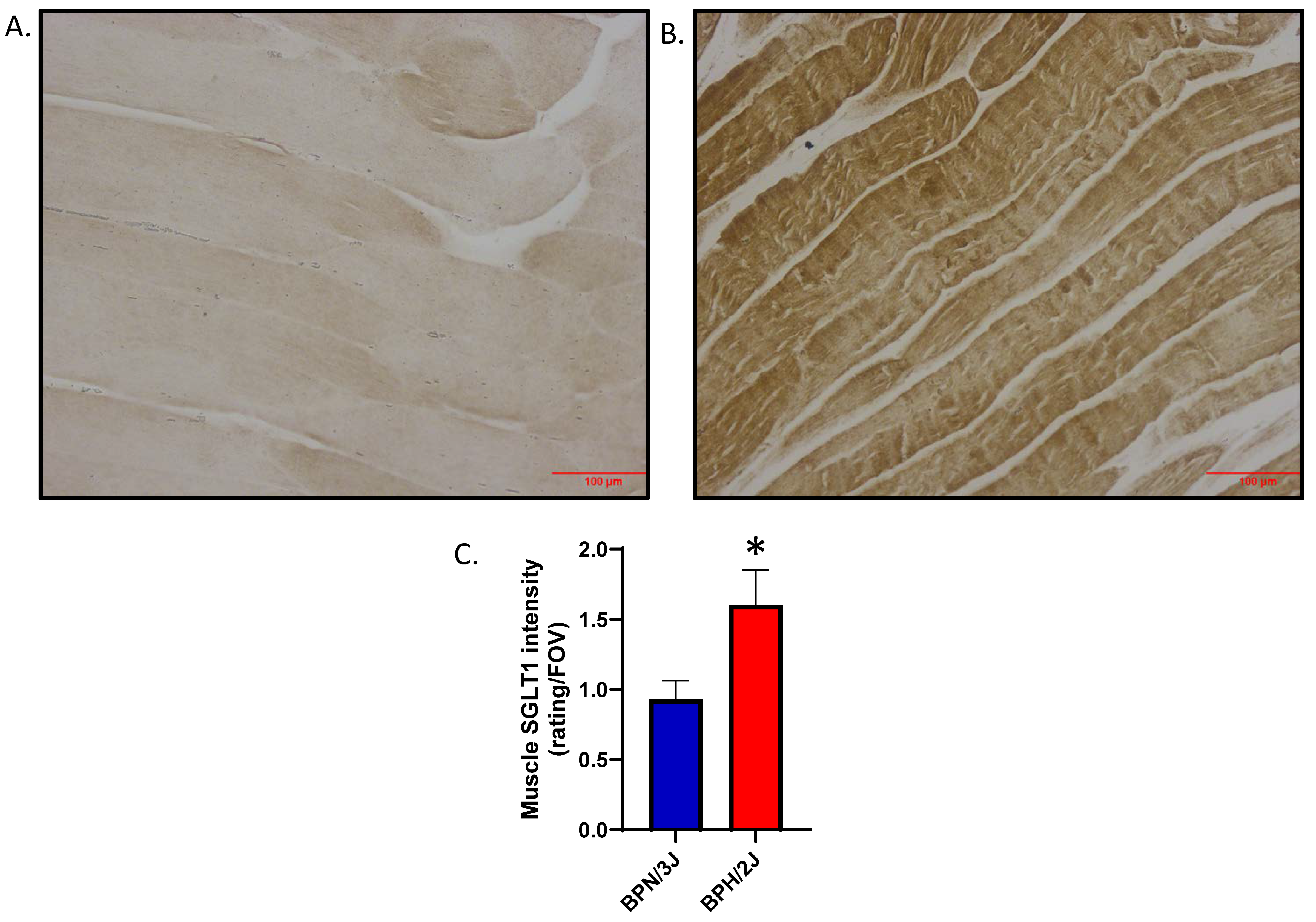 Biomedicines 12 01456 g009