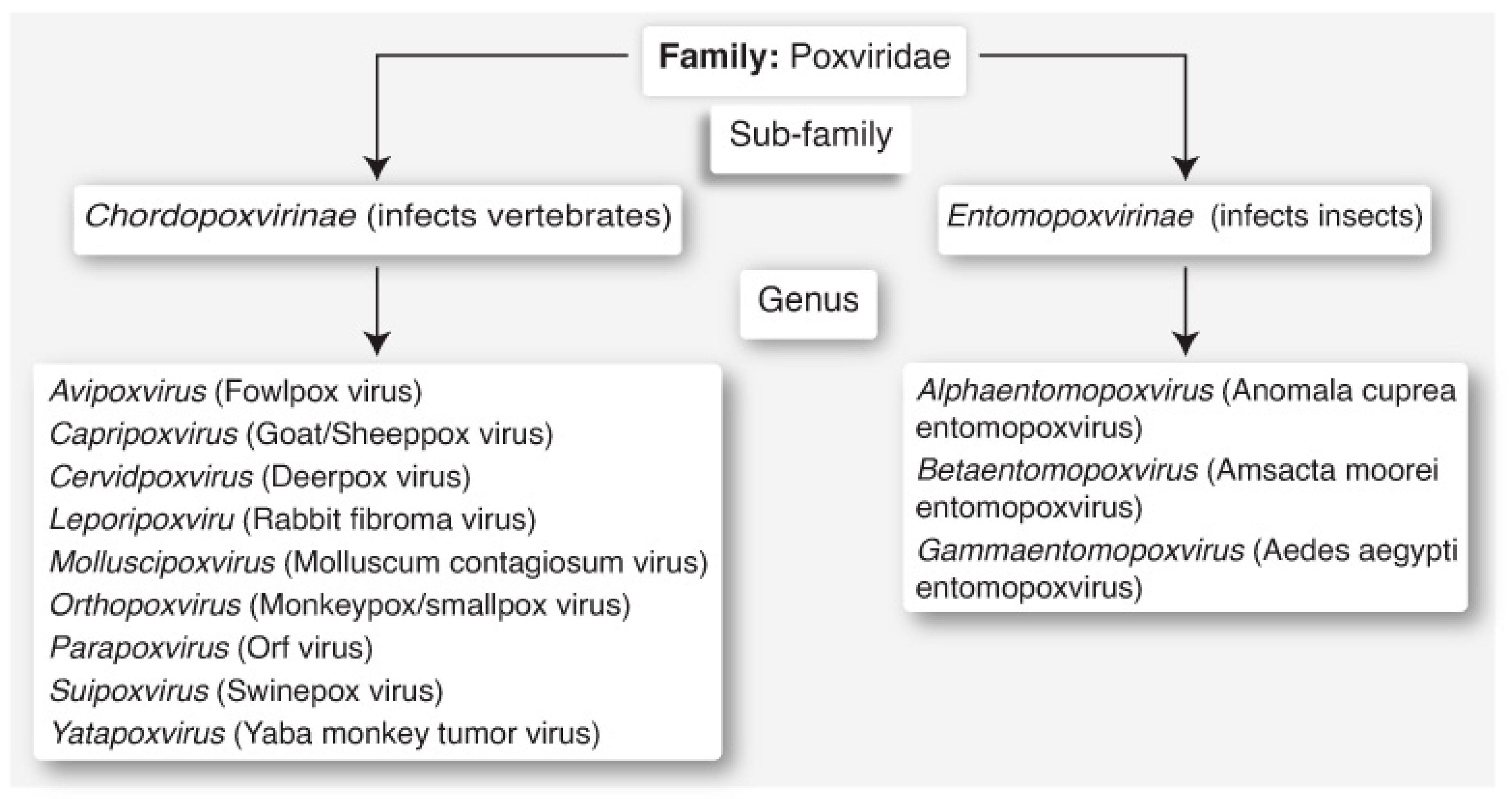 Biomedicines 12 01457 g001