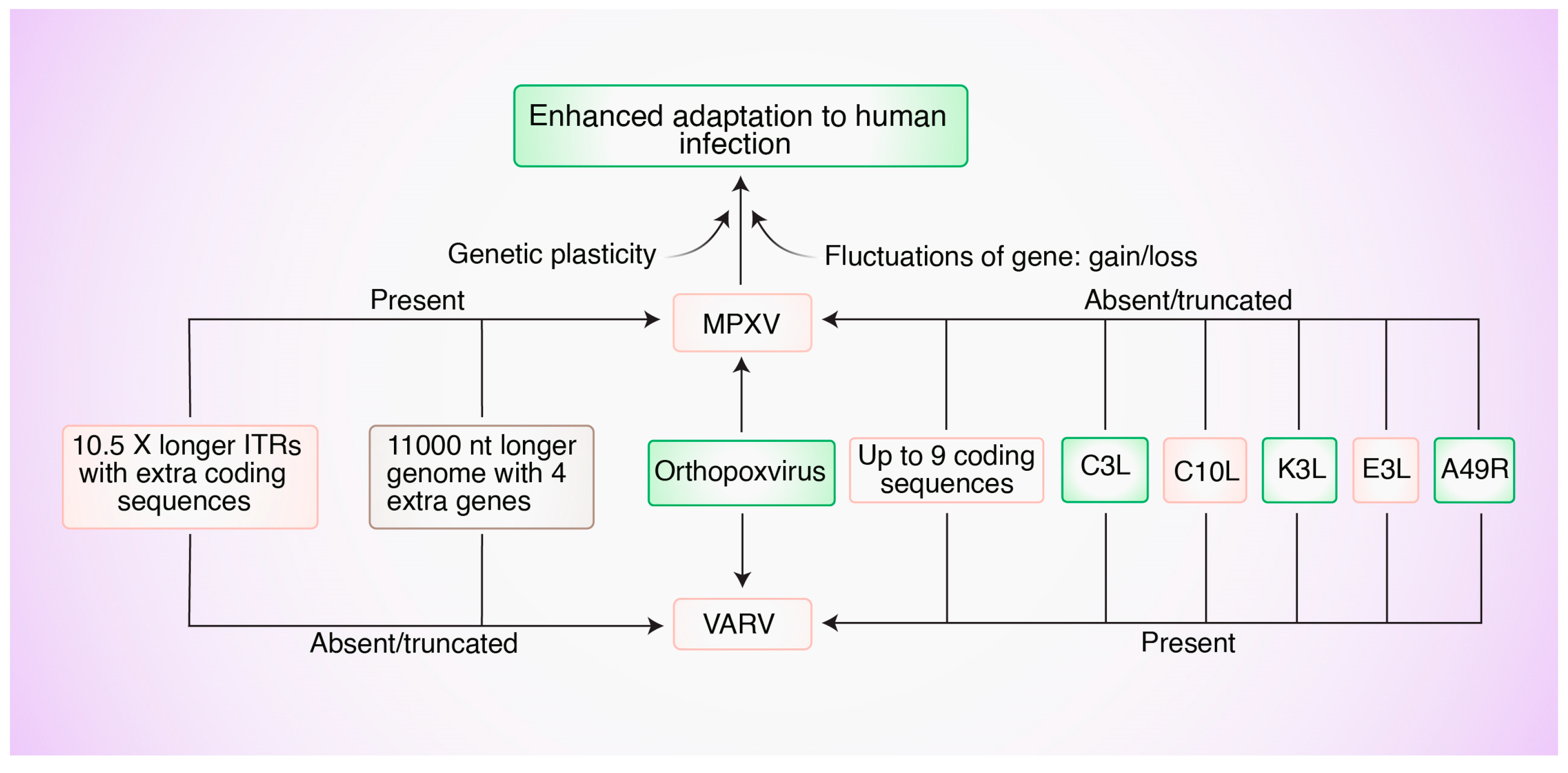 Biomedicines 12 01457 g002