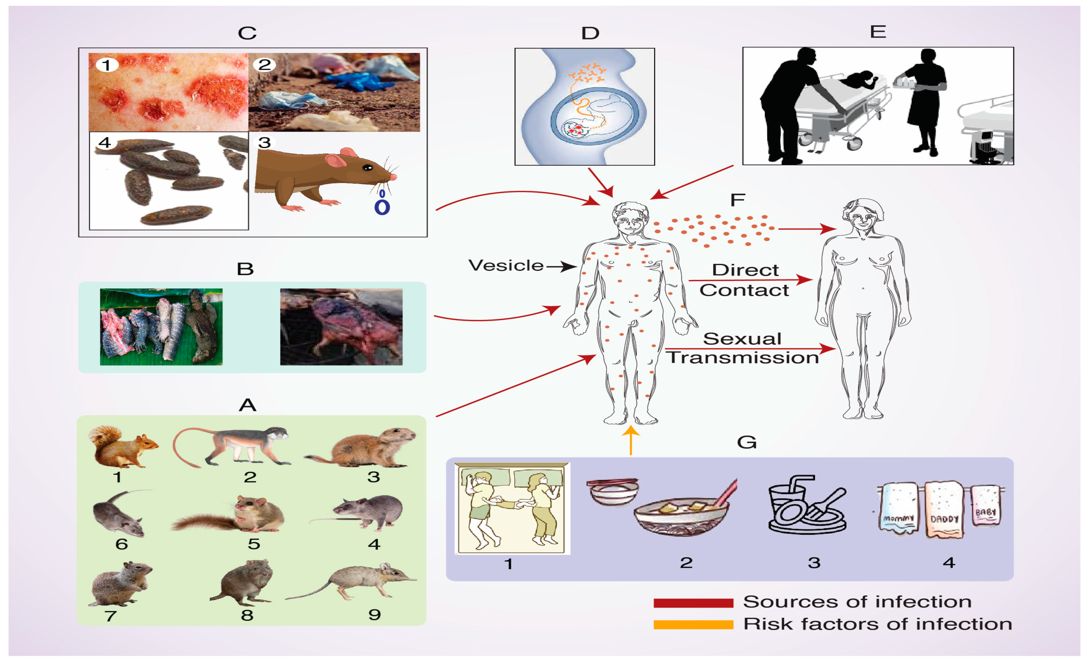 Biomedicines 12 01457 g003
