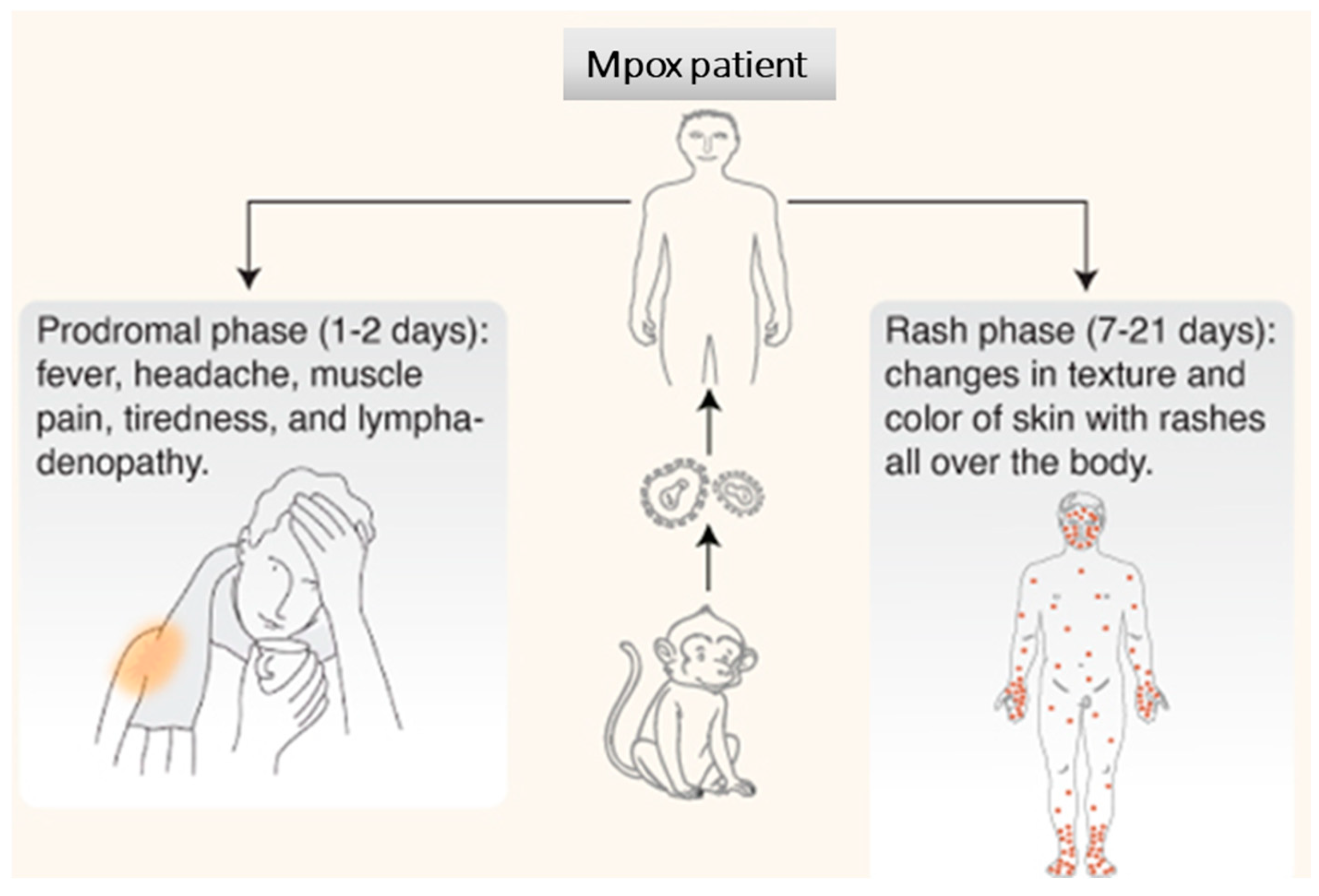 Biomedicines 12 01457 g004