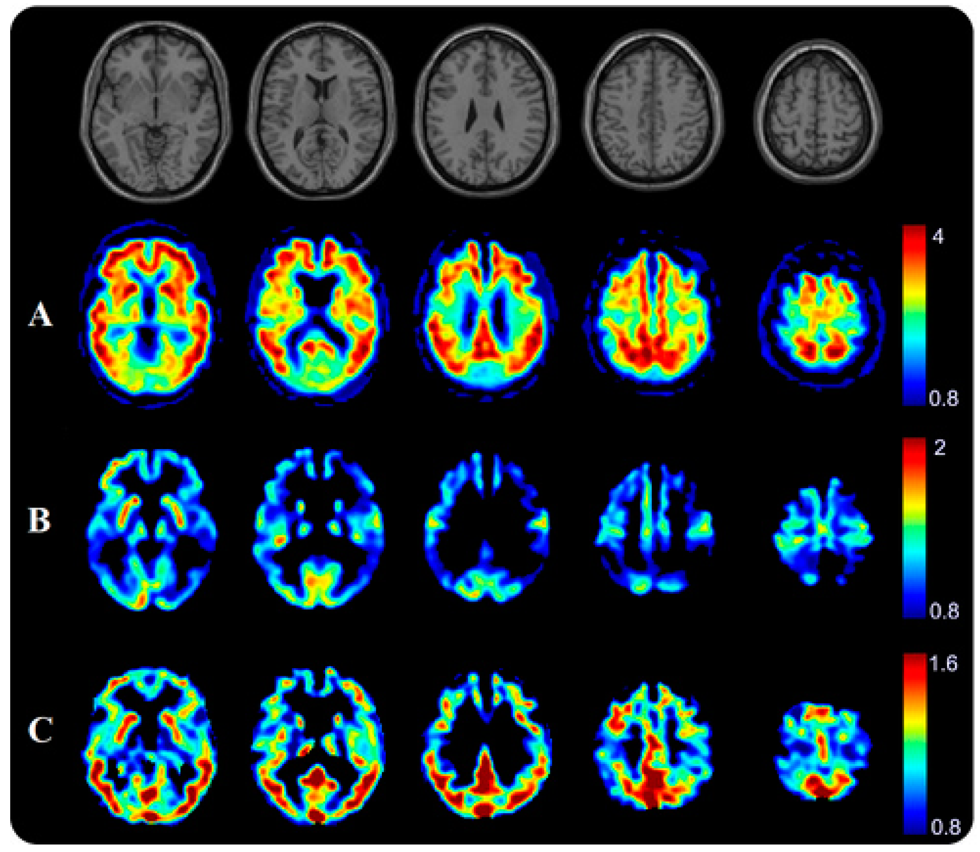 Biomedicines 12 01460 g004