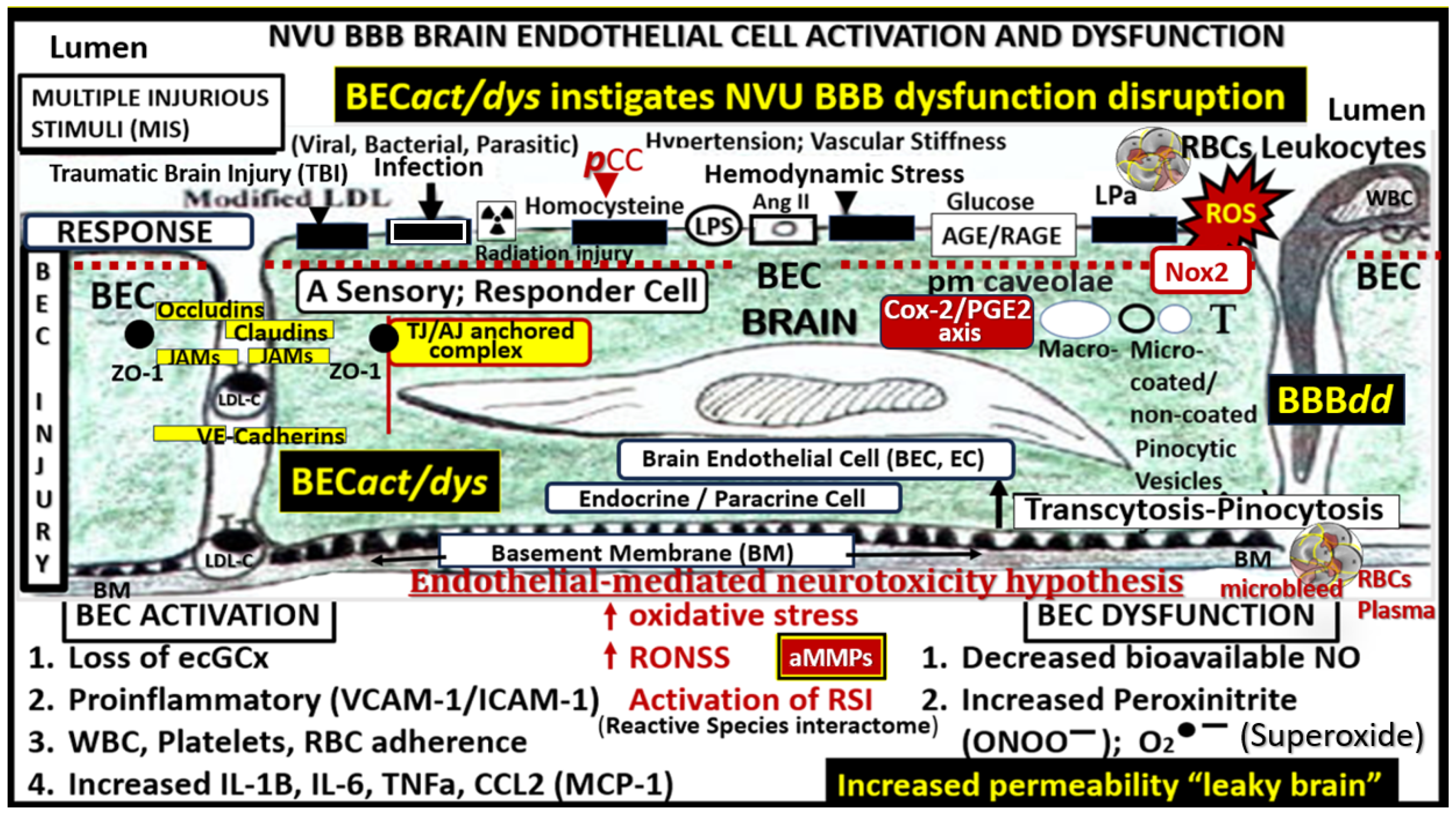 Biomedicines 12 01463 g003