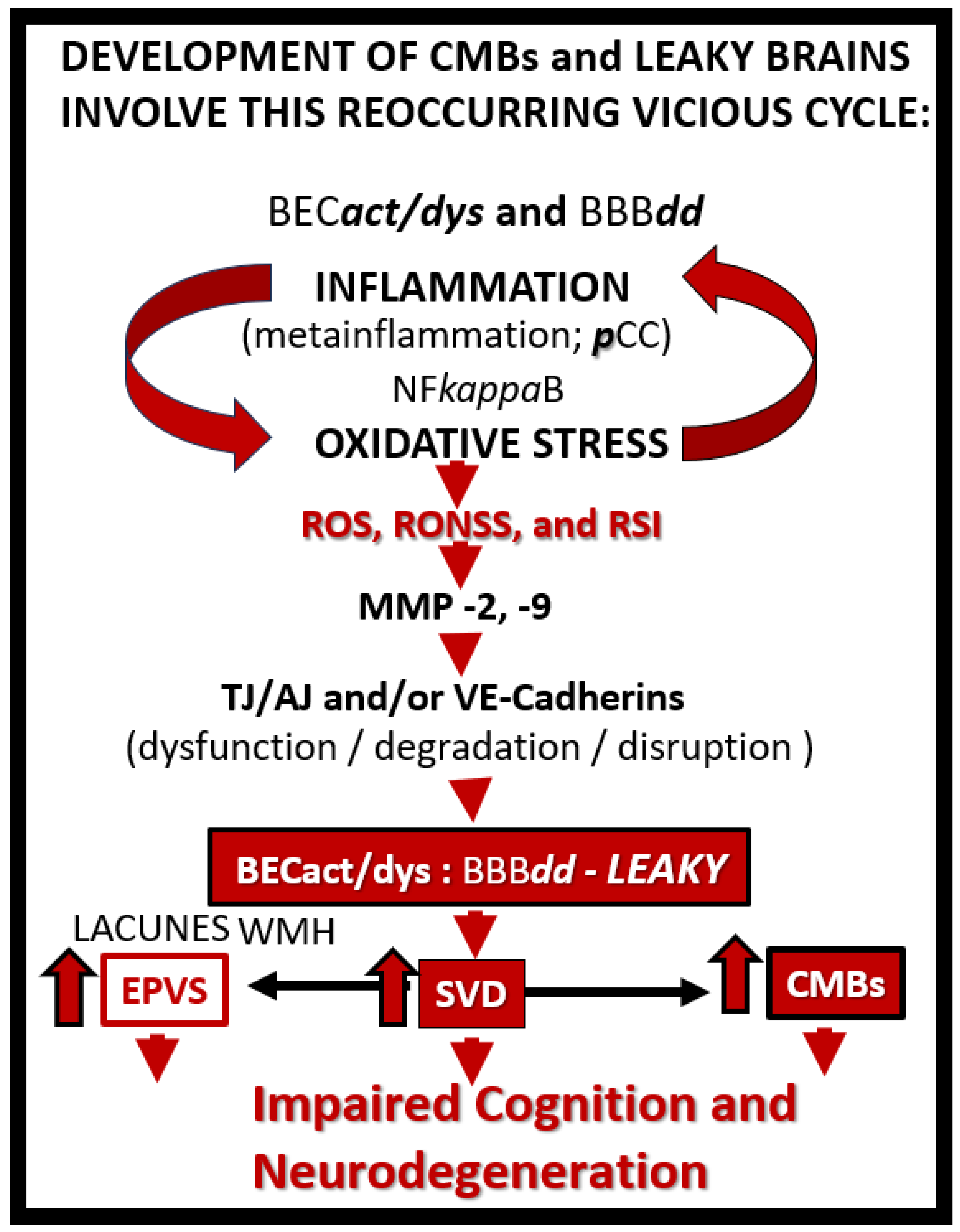 Biomedicines 12 01463 g006