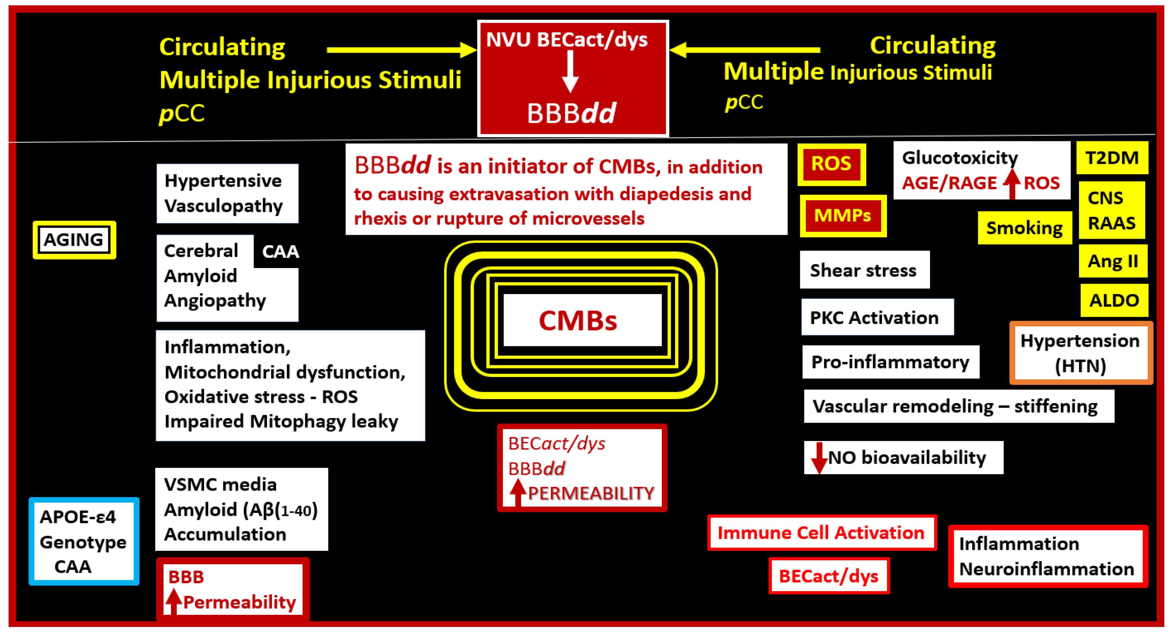Biomedicines 12 01463 g014