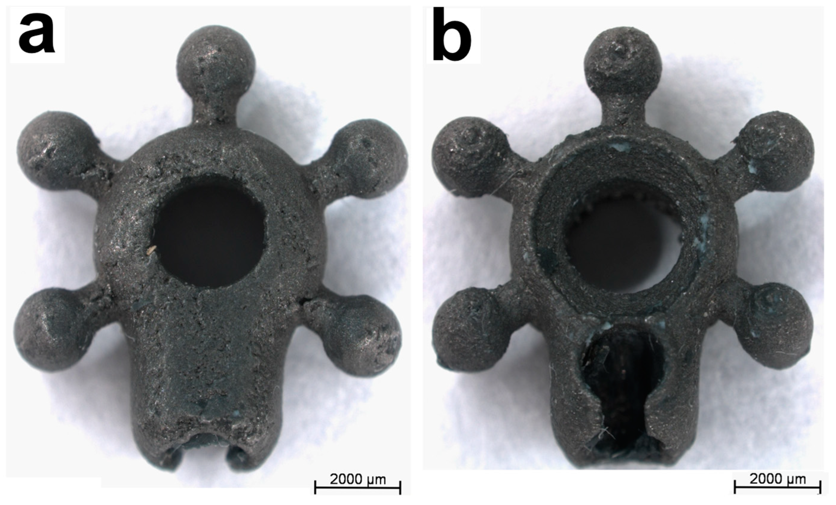 Biomedicines 12 01466 g001