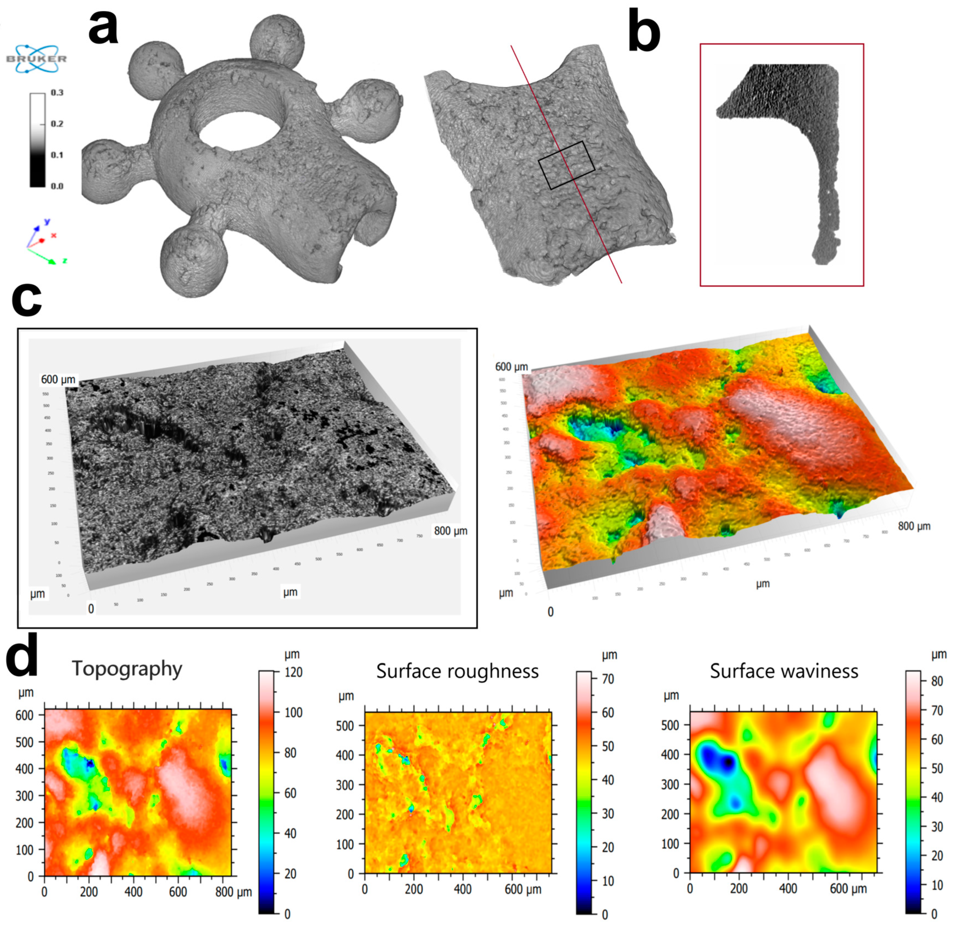 Biomedicines 12 01466 g004