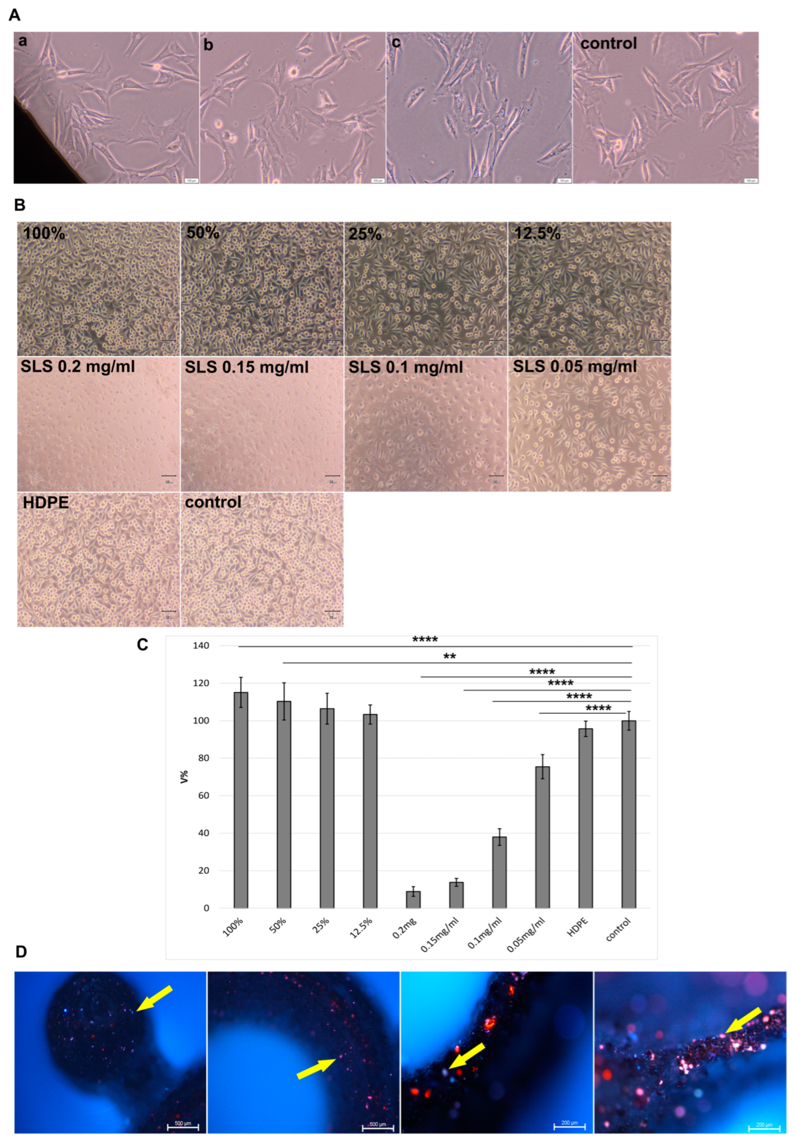 Biomedicines 12 01466 g005
