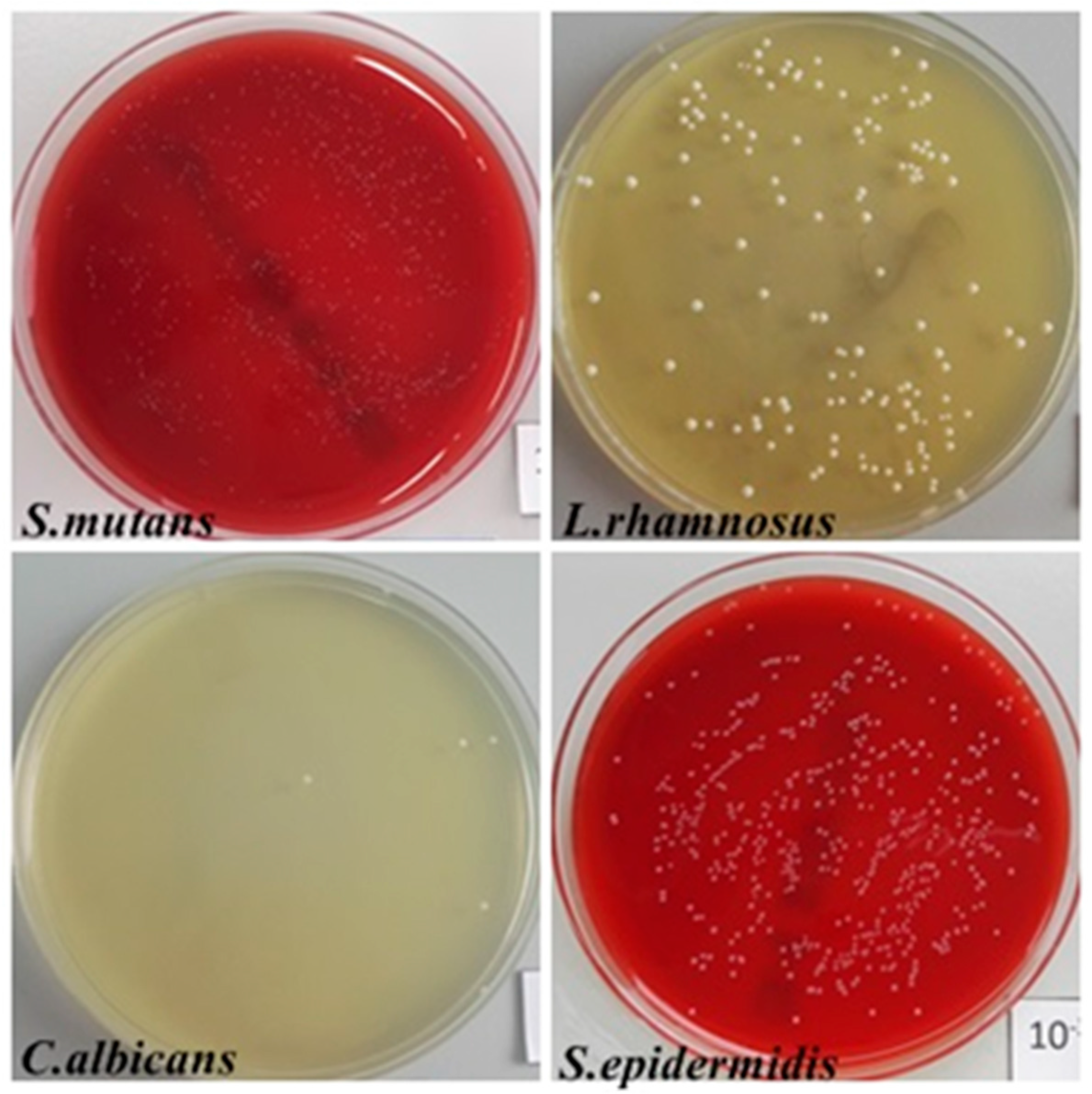 Biomedicines 12 01466 g006