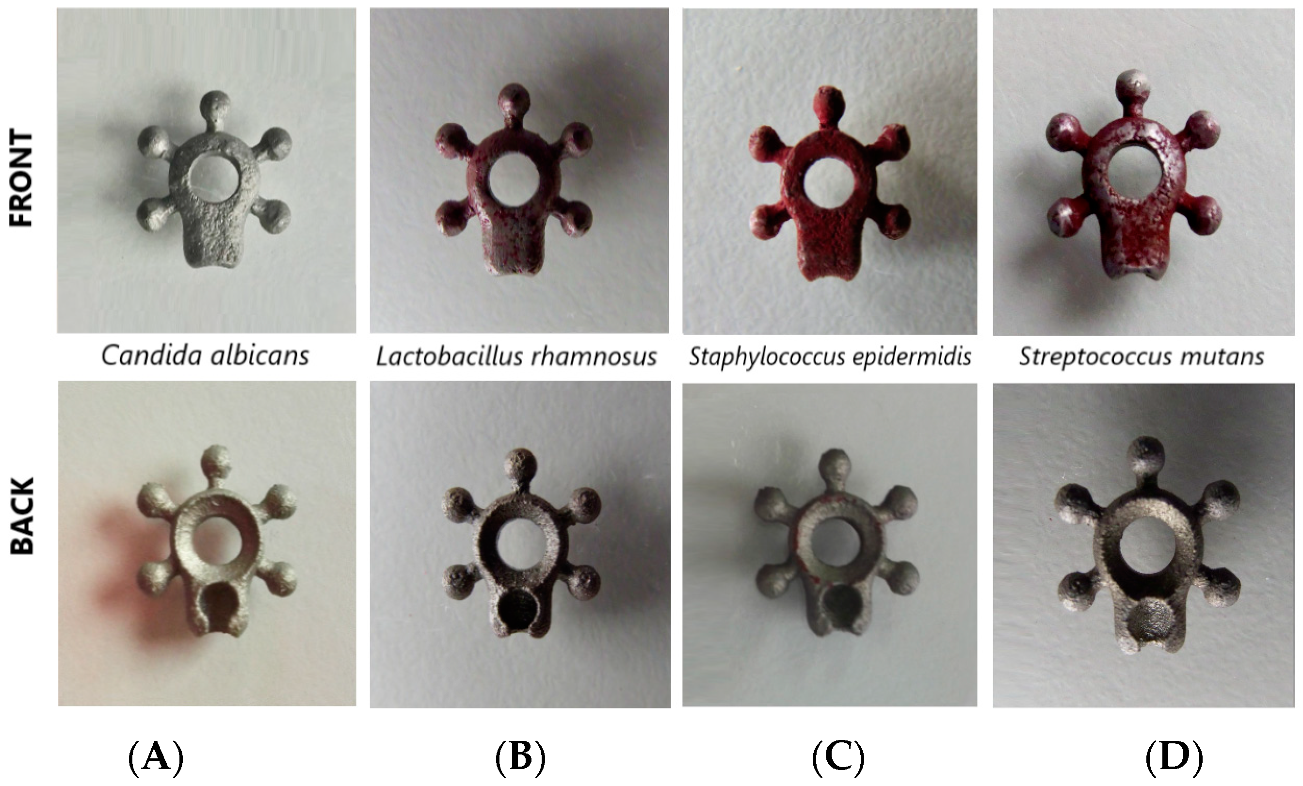 Biomedicines 12 01466 g007