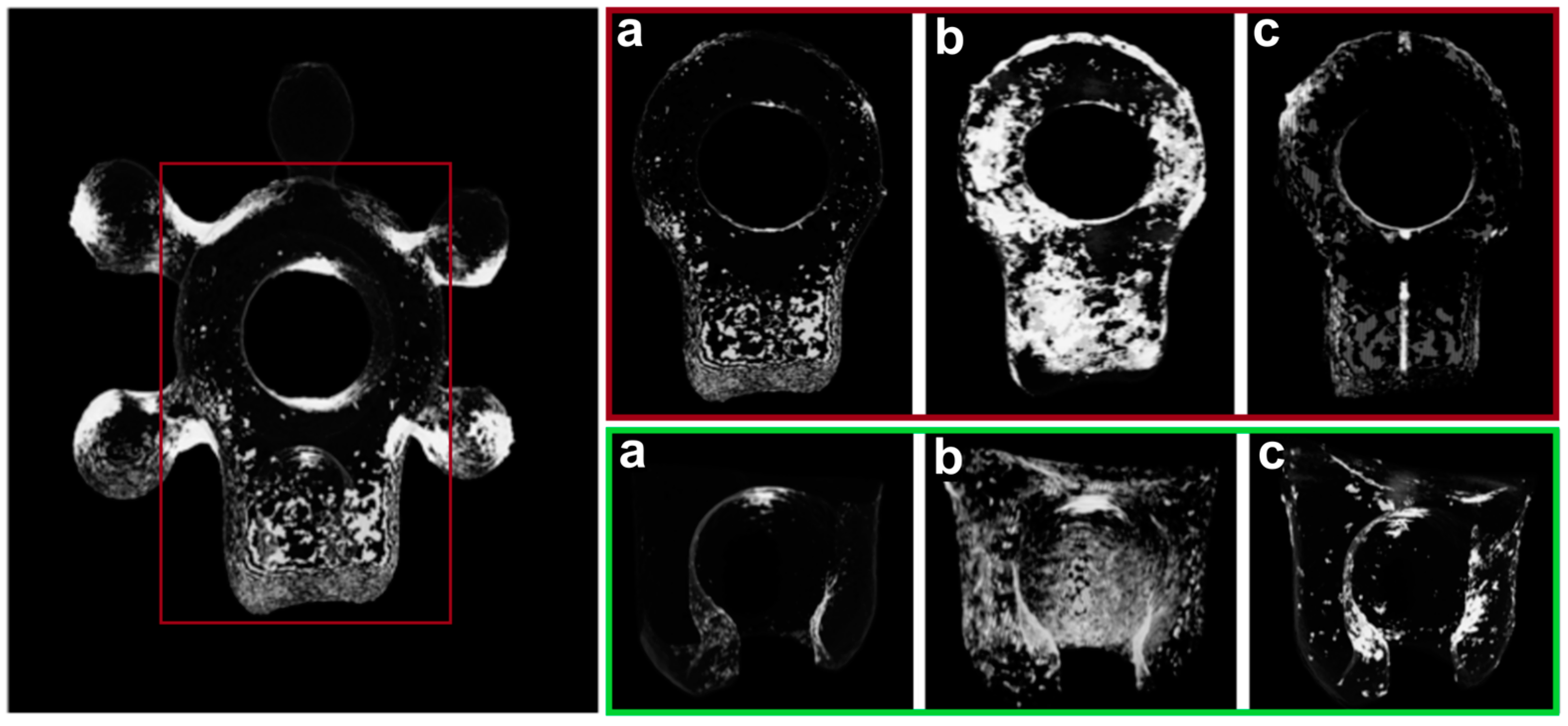 Biomedicines 12 01466 g008