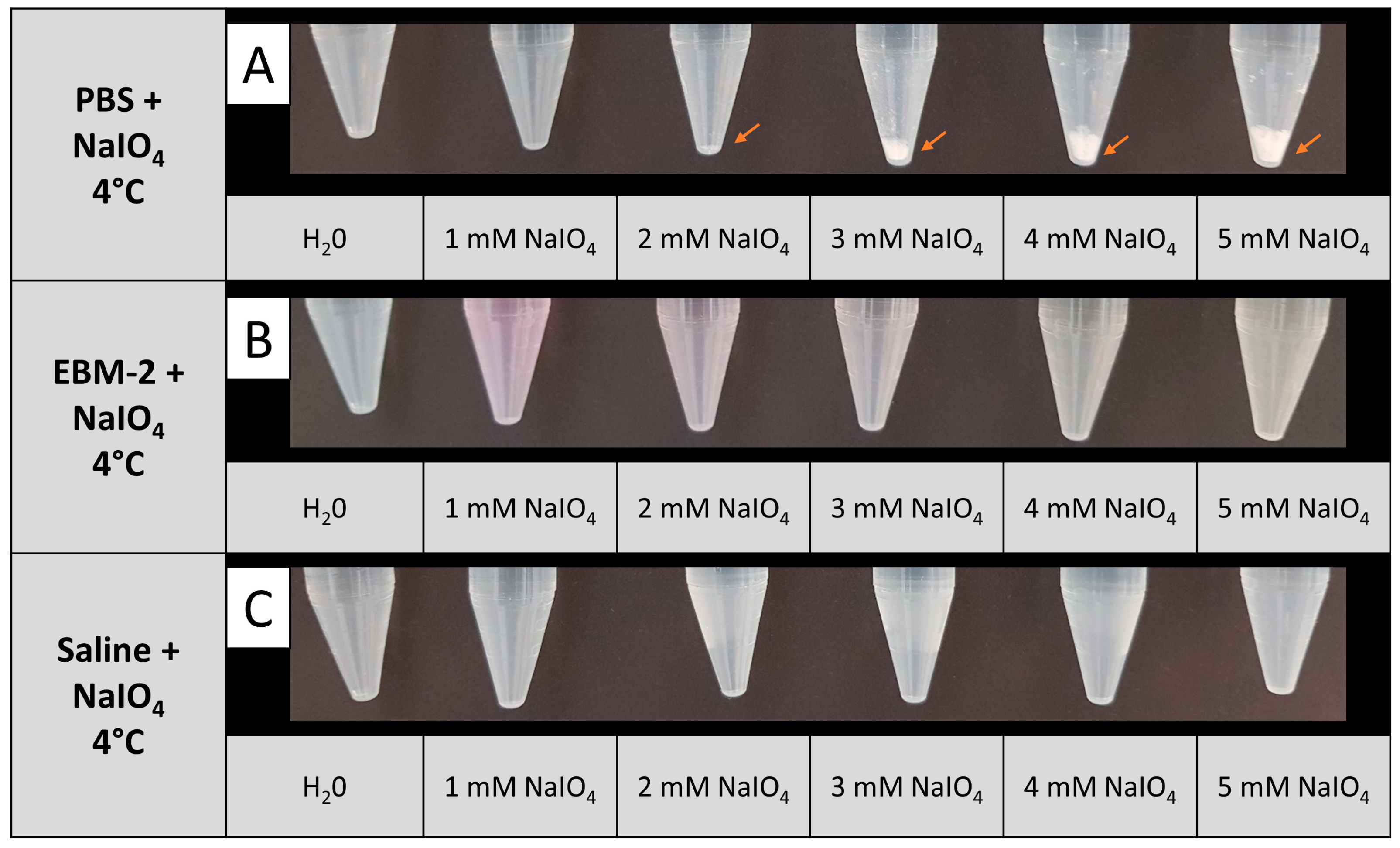 Biomedicines 12 01470 g002