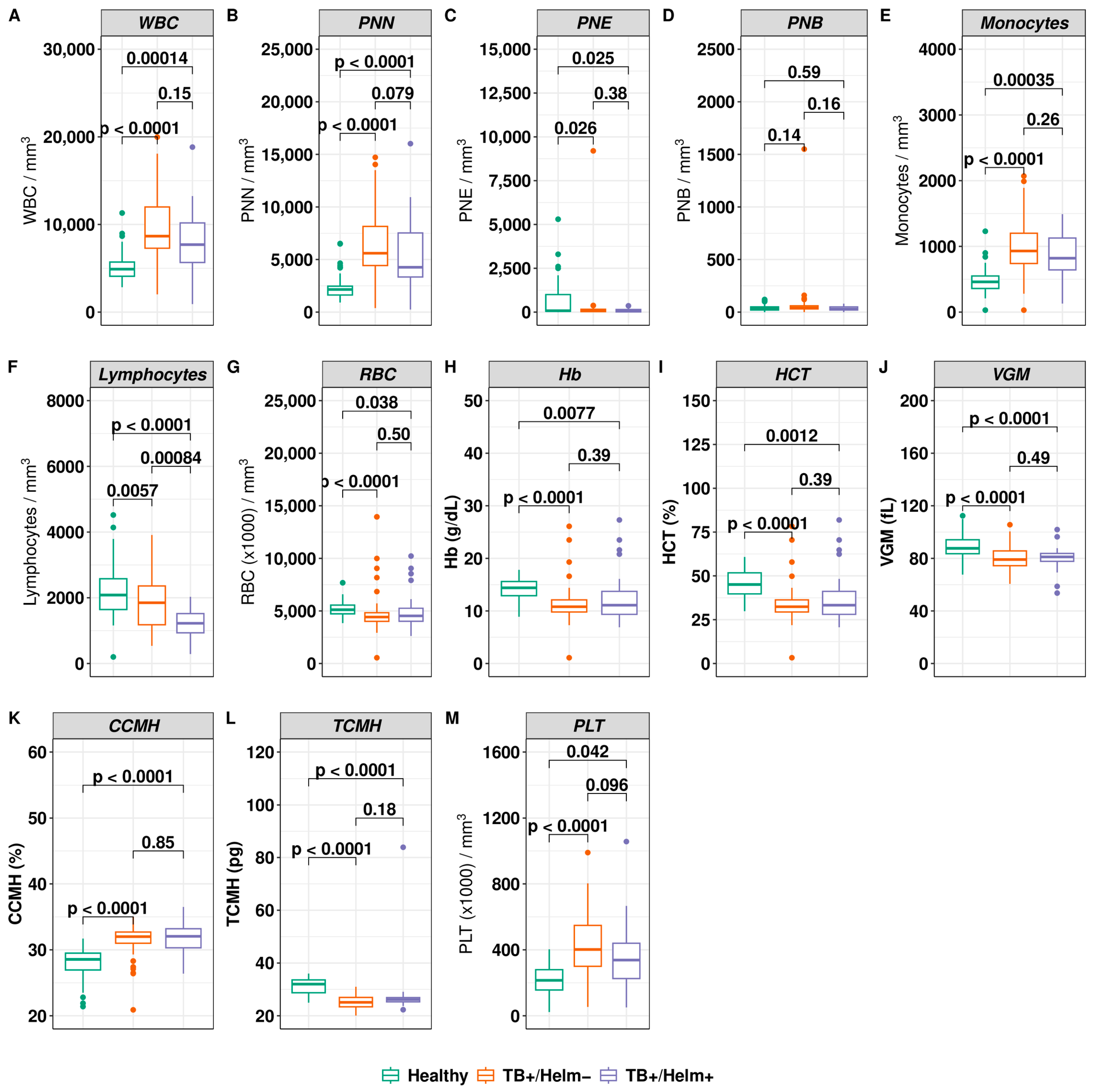 Biomedicines 12 01472 g004 Biomedicines 12 01472 g004