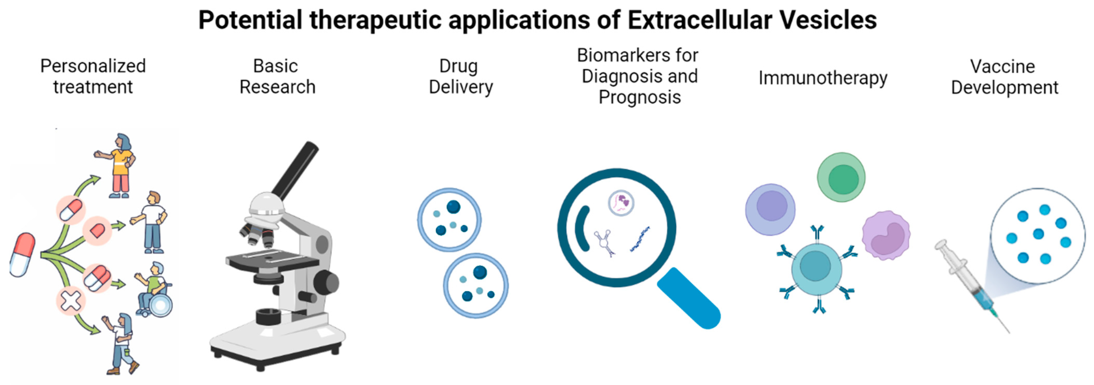 Biomedicines 12 01473 g002