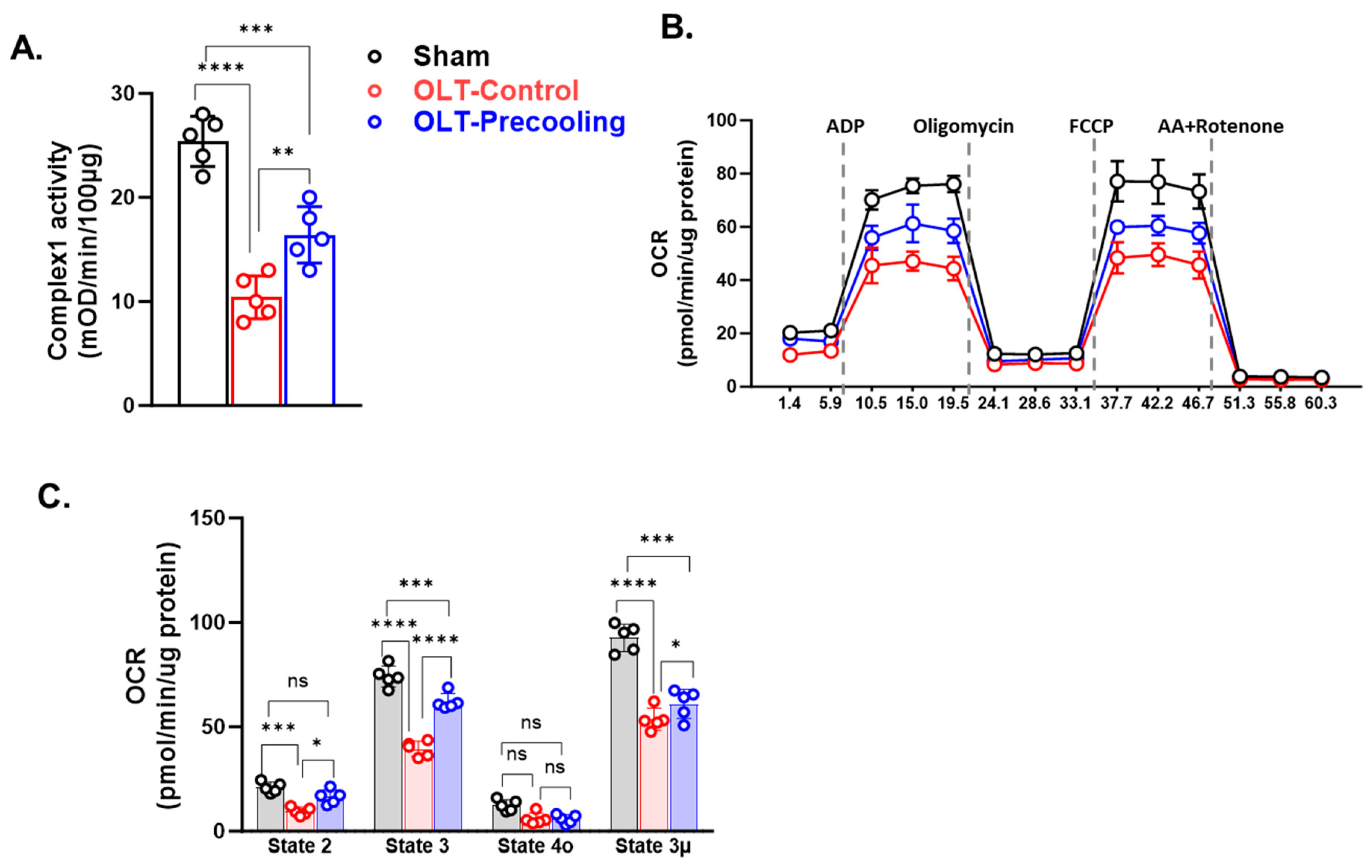 Biomedicines 12 01475 g003 Biomedicines 12 01475 g003