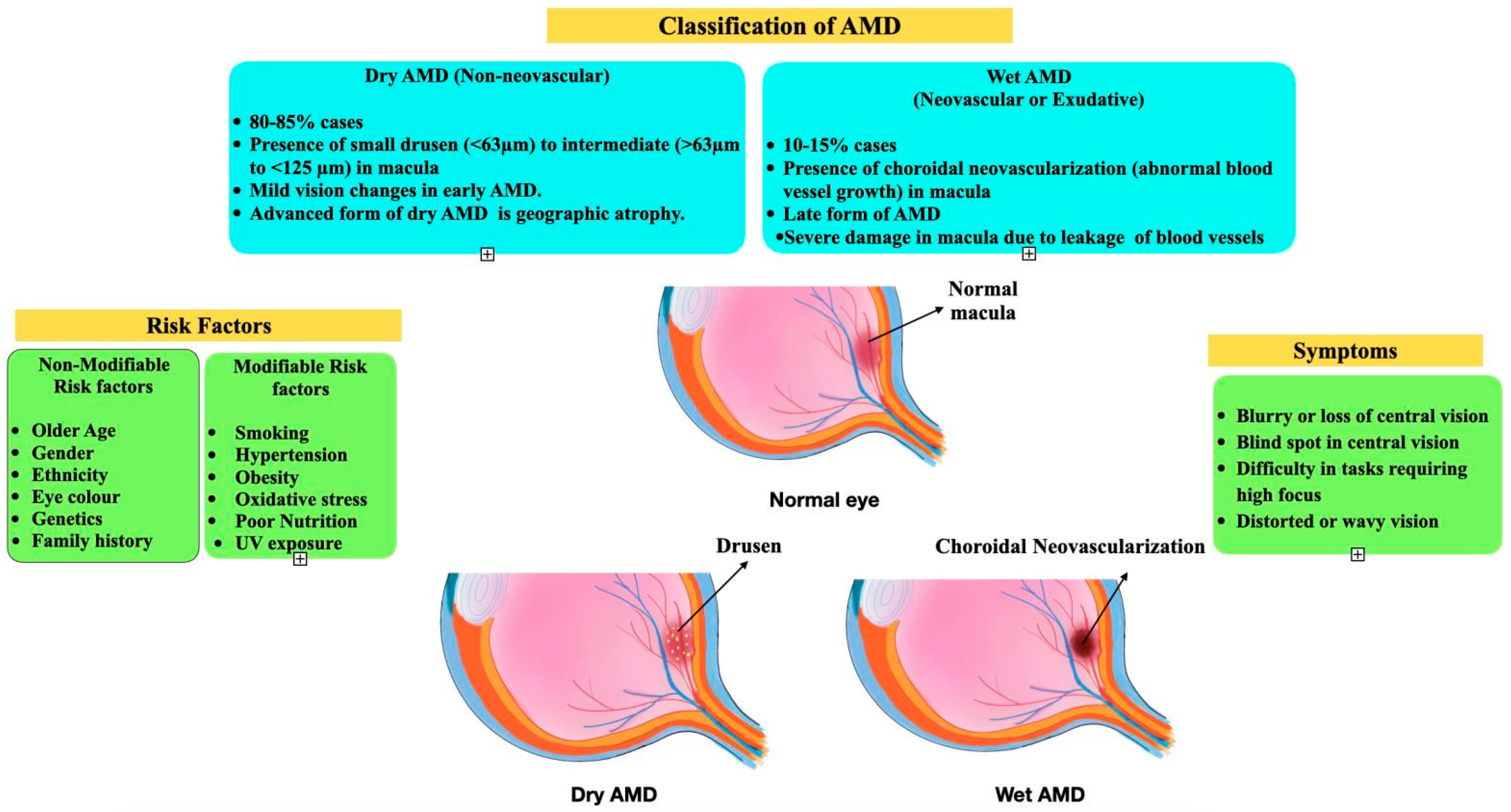 Biomedicines 12 01479 g001