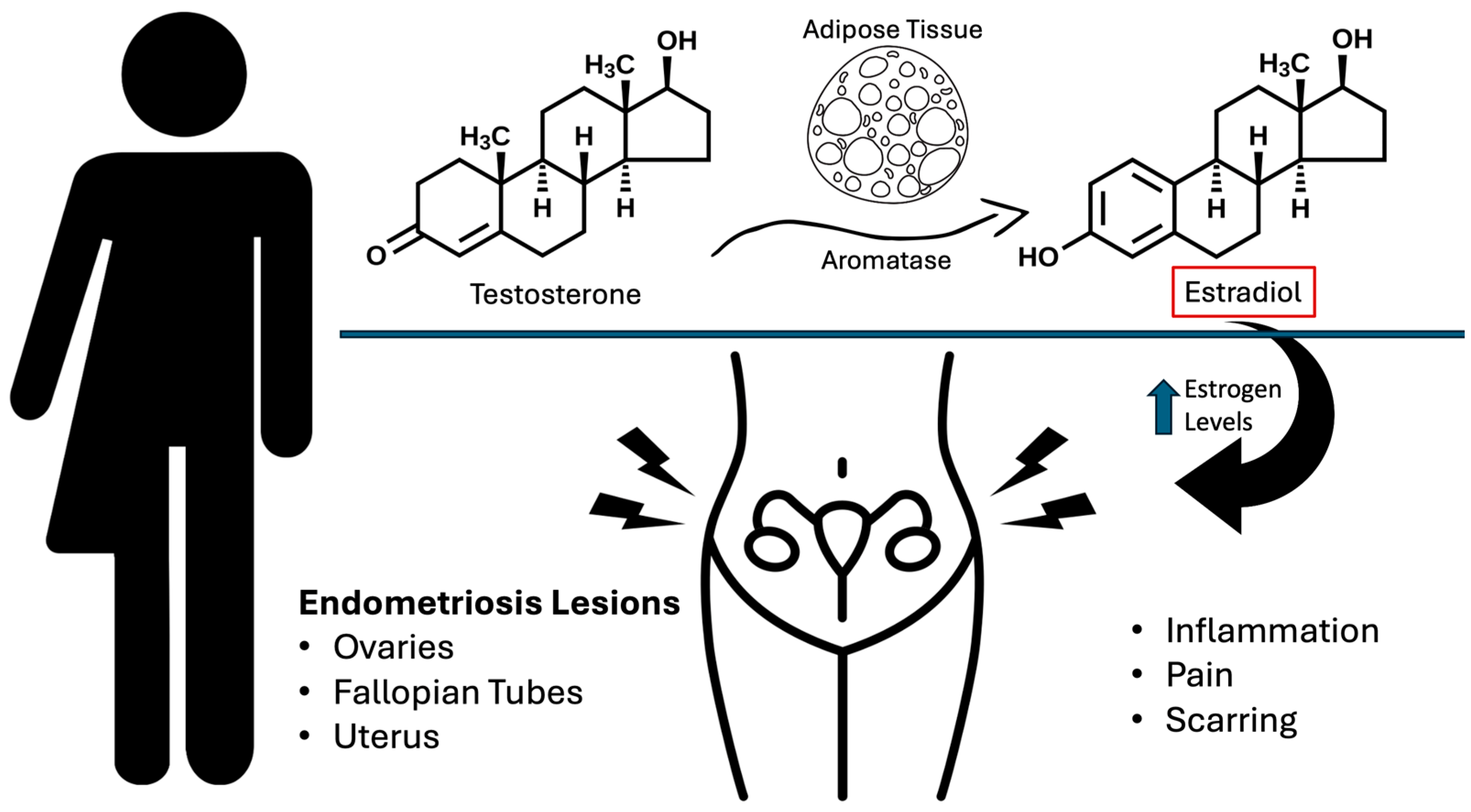 Biomedicines 12 01481 g001