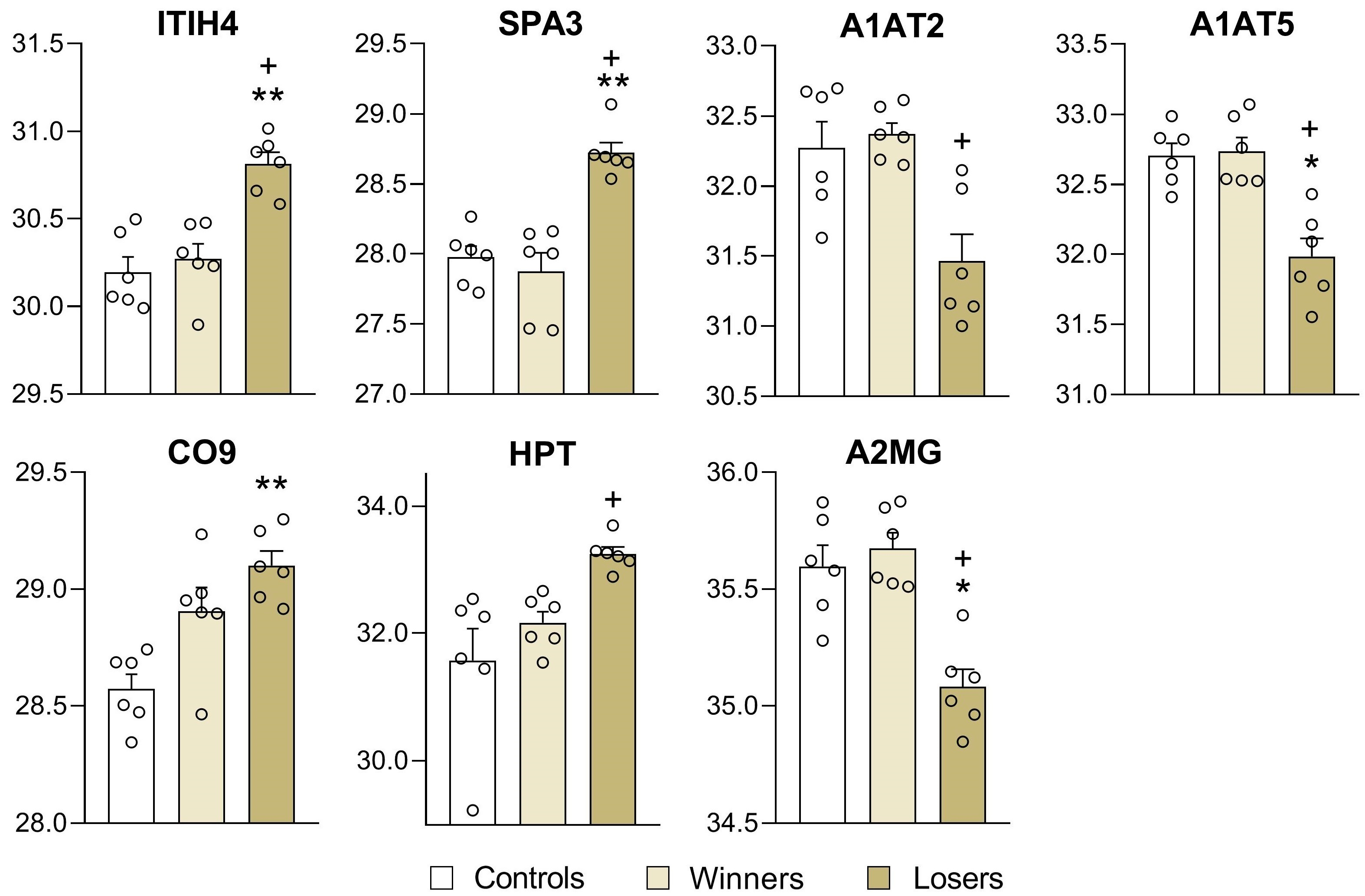 Biomedicines 12 01485 g006 Biomedicines 12 01485 g006