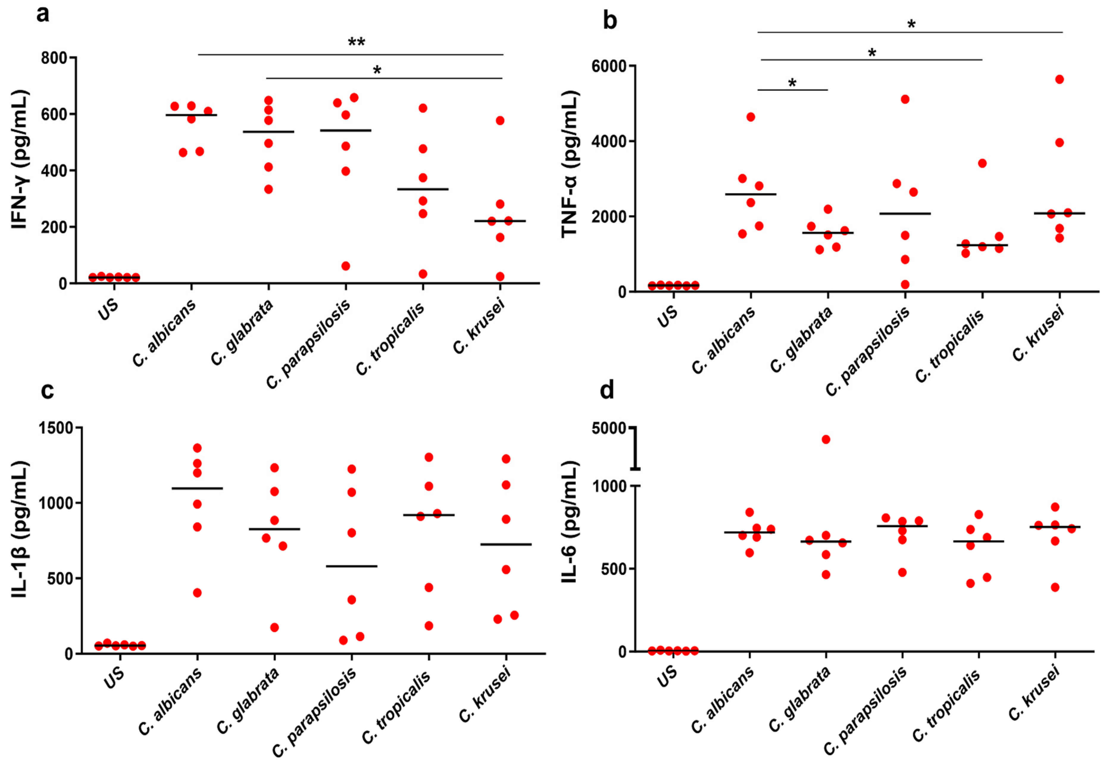 Biomedicines 12 01487 g001