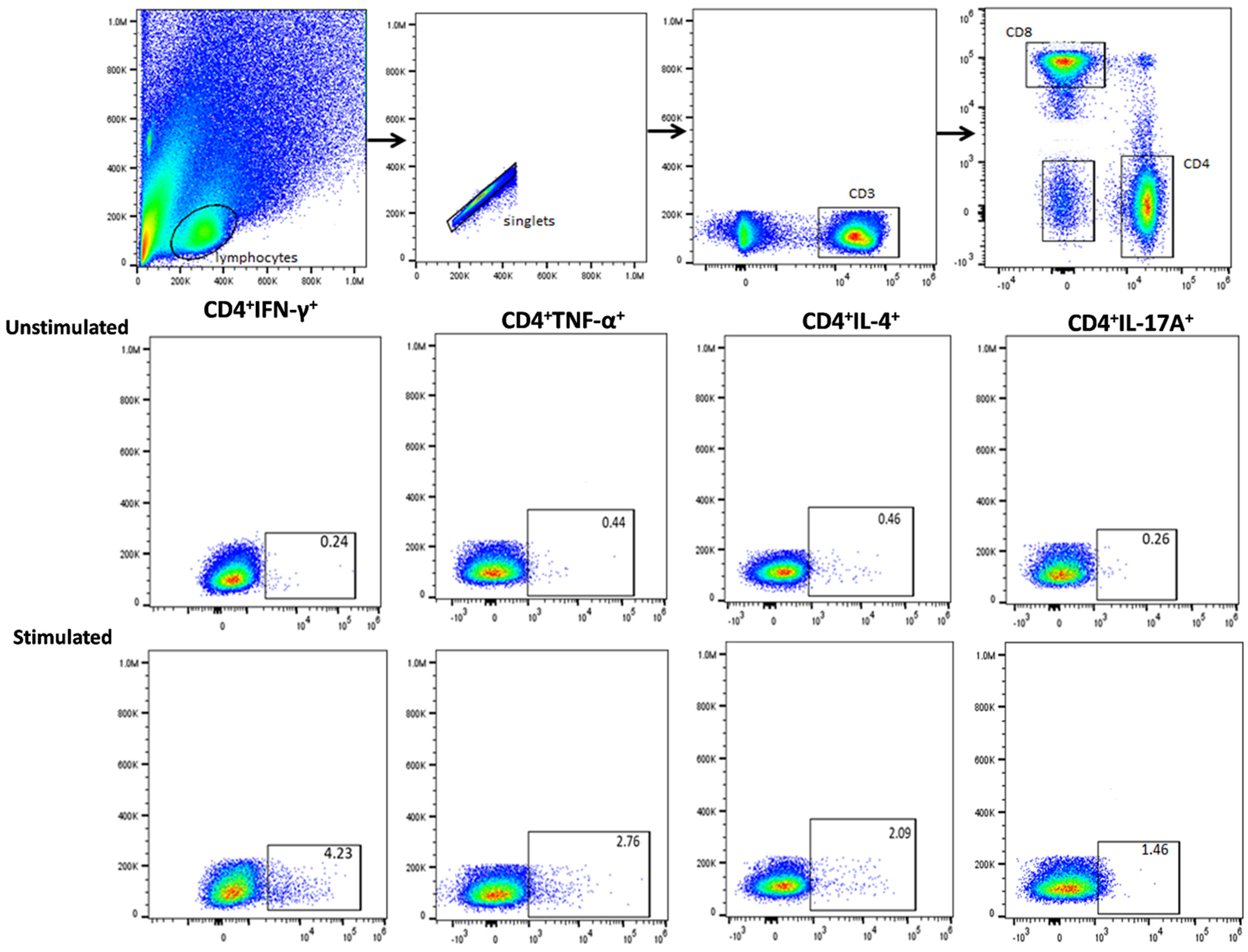 Biomedicines 12 01487 g003