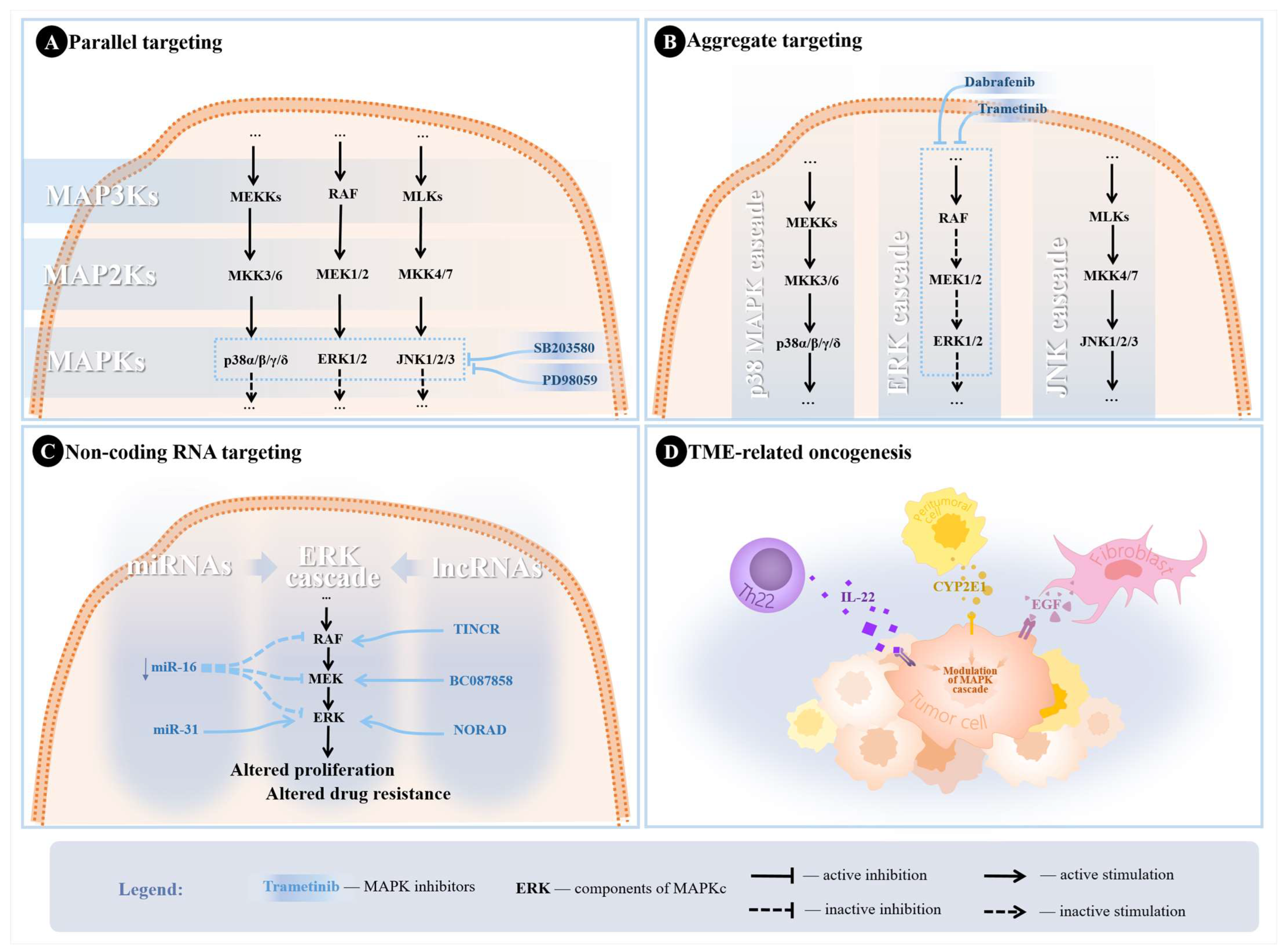 Biomedicines 12 01489 g003 Biomedicines 12 01489 g003