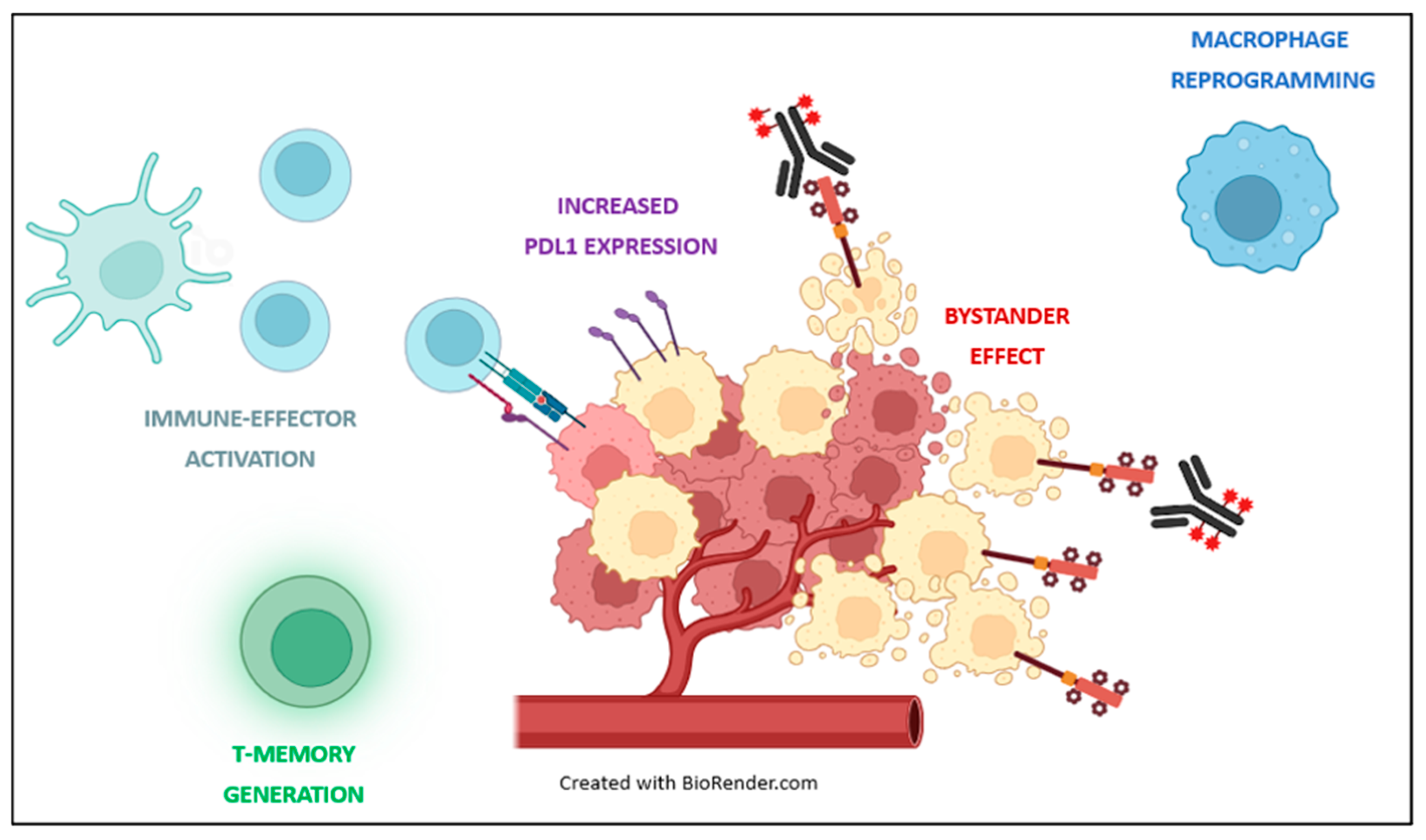 Biomedicines 12 01491 g003