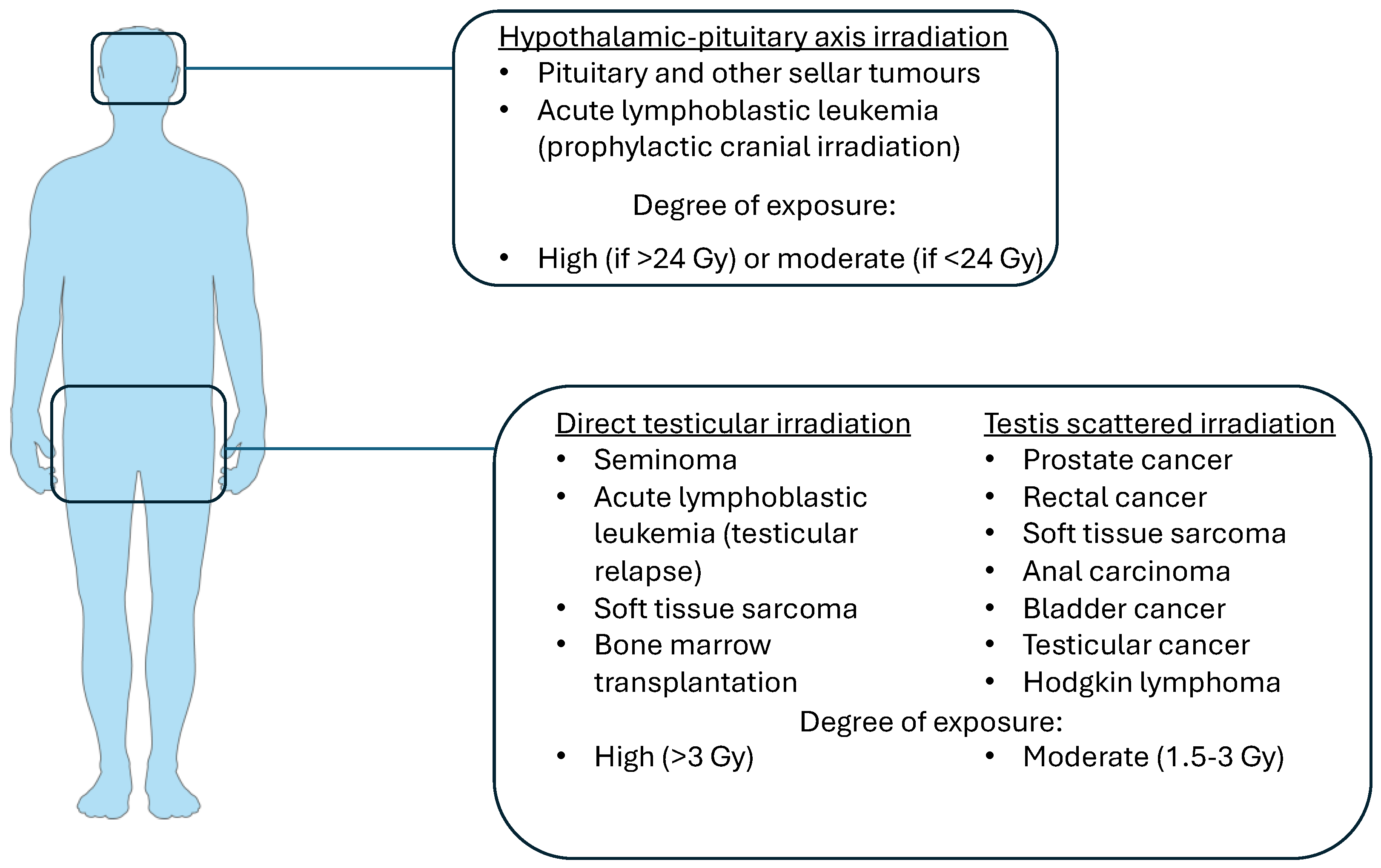 Biomedicines 12 01492 g003 Biomedicines 12 01492 g003