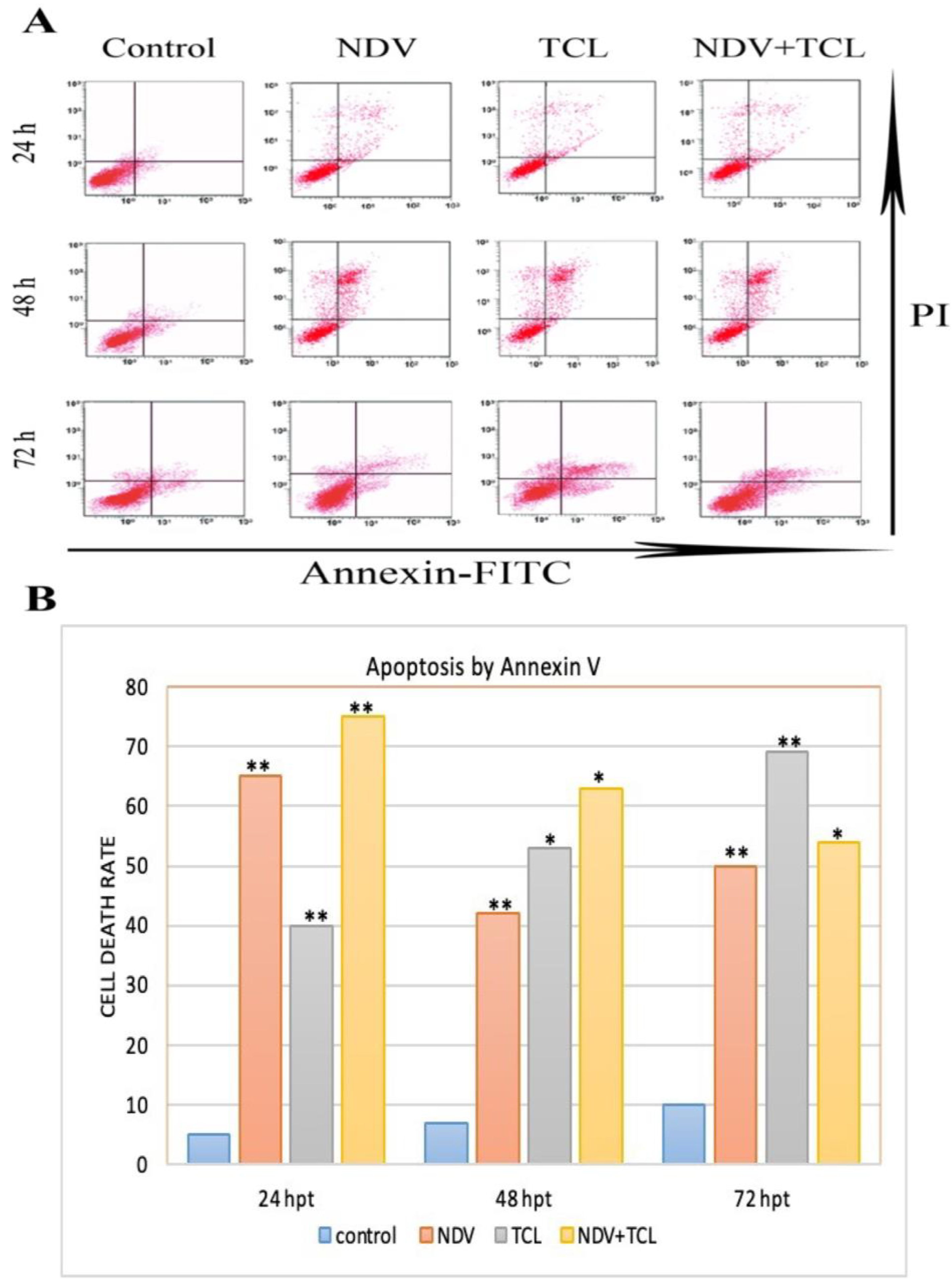Biomedicines 12 01497 g003