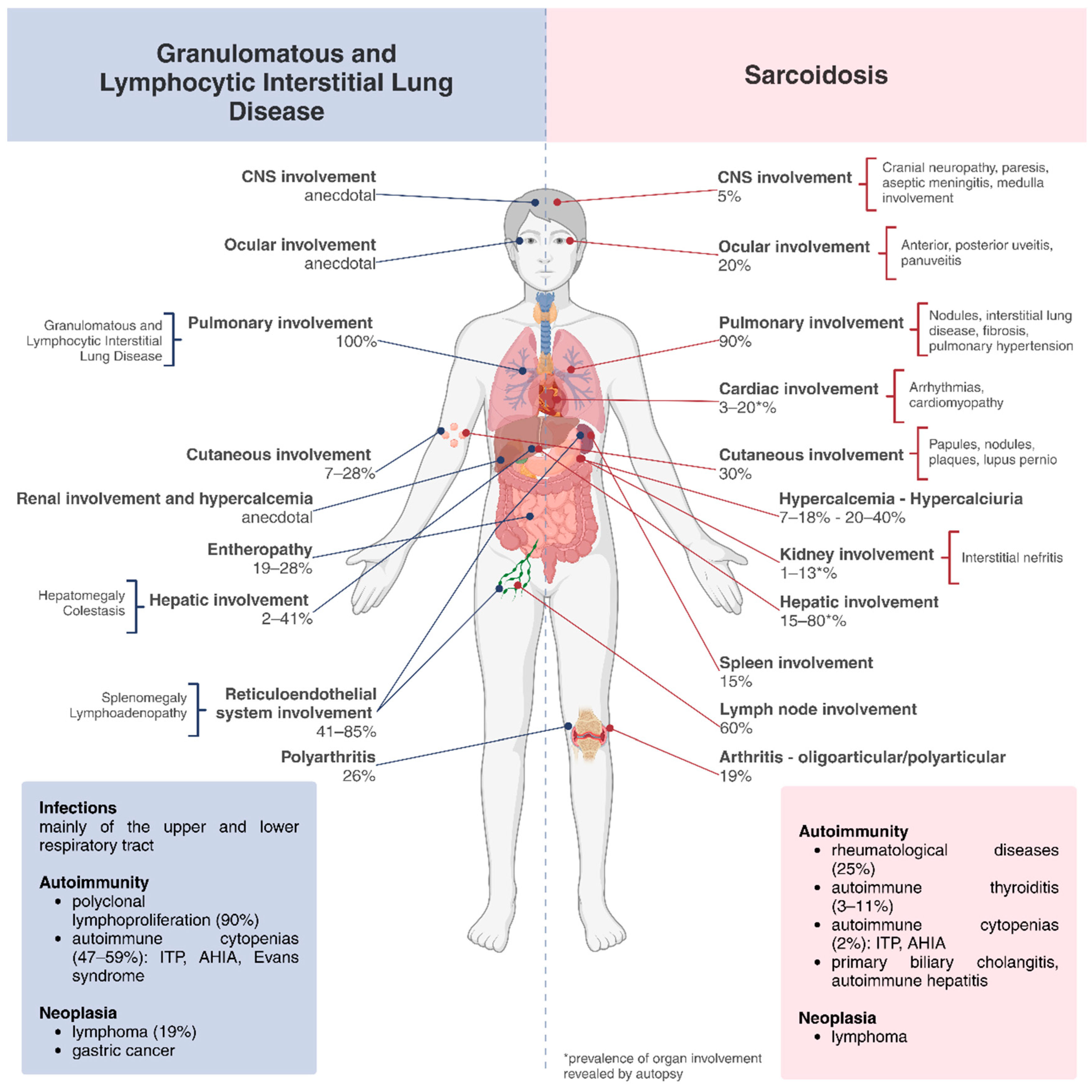 Biomedicines 12 01503 g001 Biomedicines 12 01503 g001