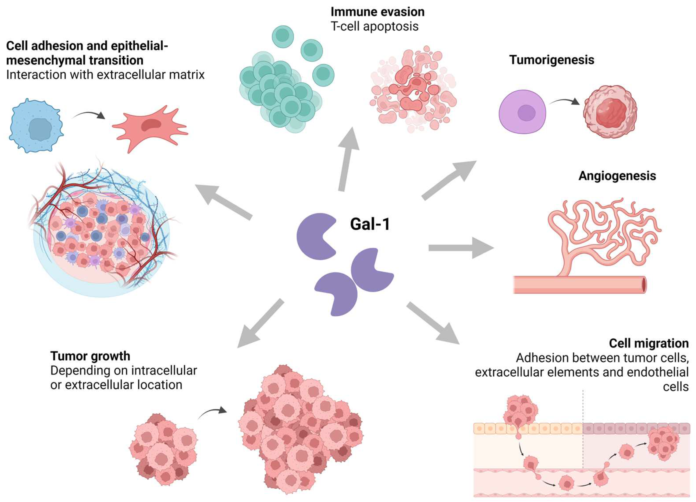 Biomedicines 12 01508 g002