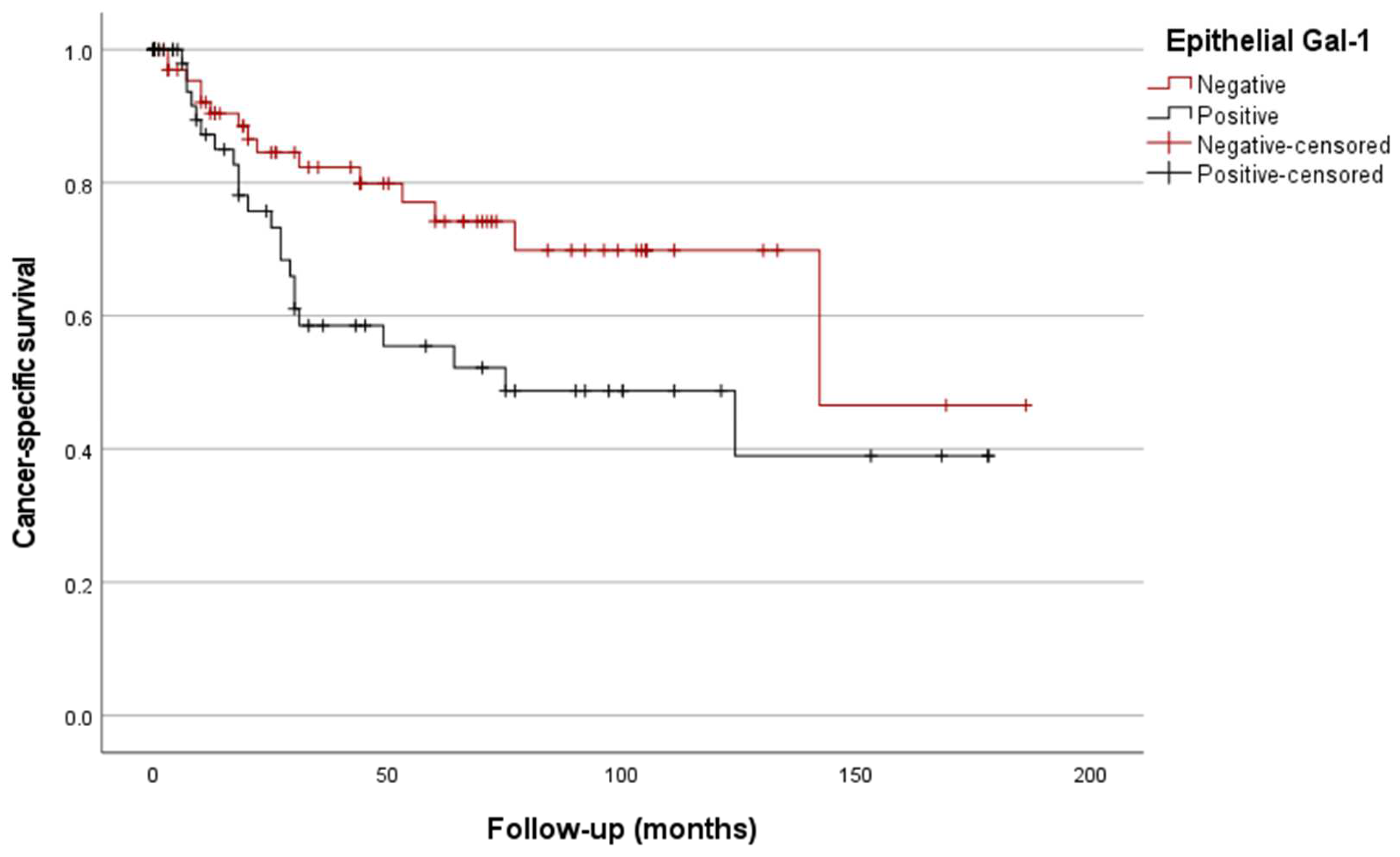 Biomedicines 12 01508 g006