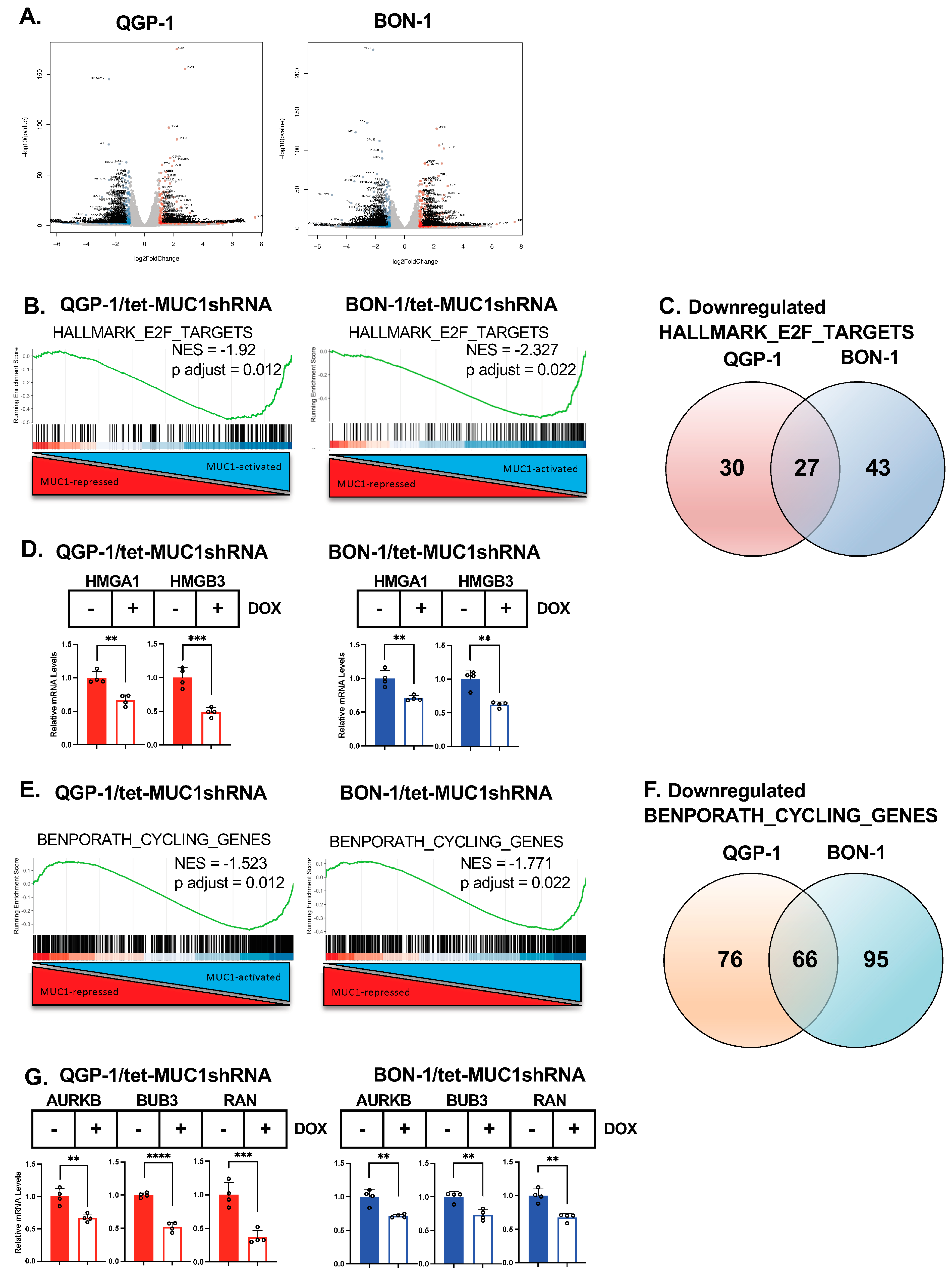 Biomedicines 12 01509 g002