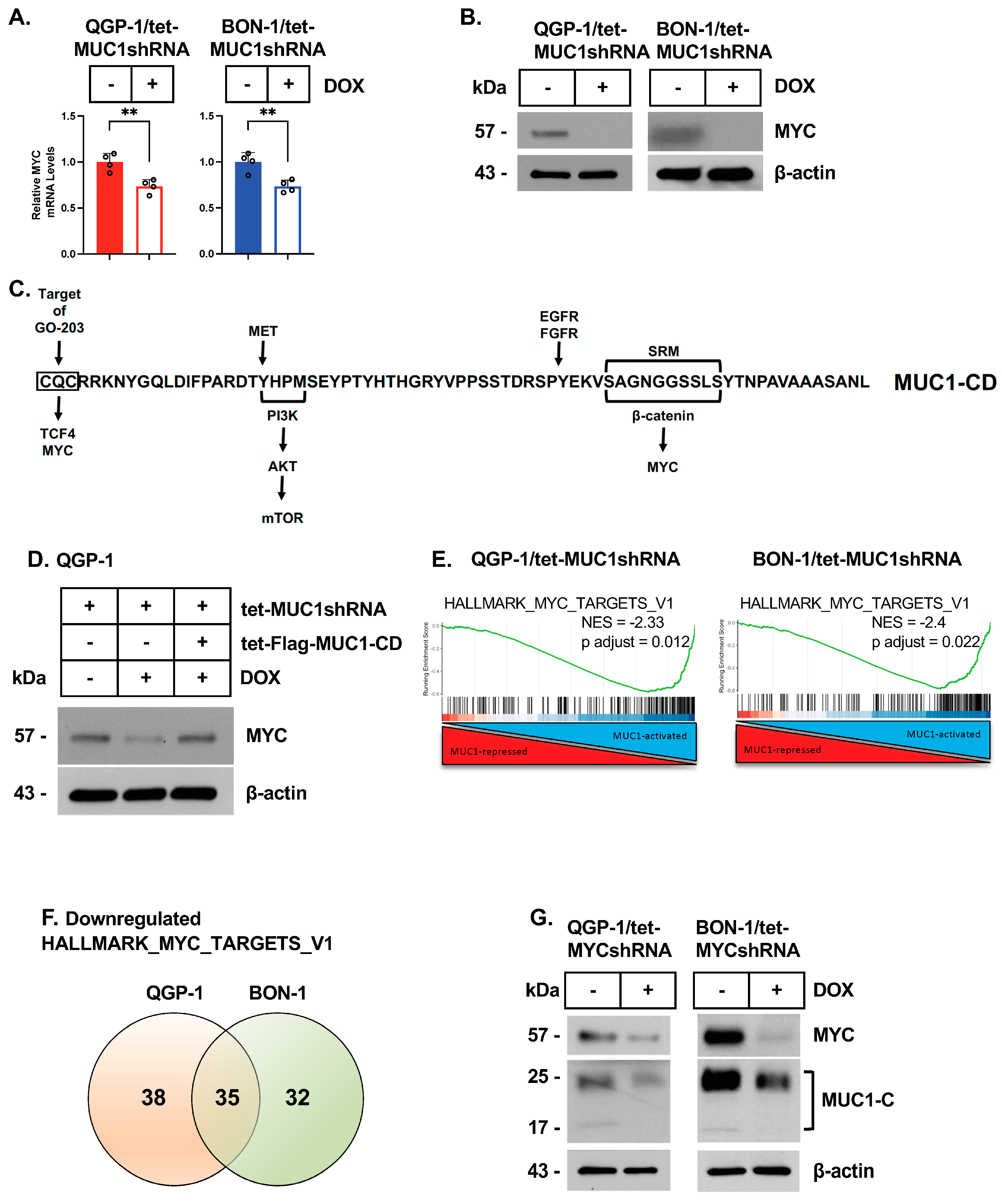 Biomedicines 12 01509 g003